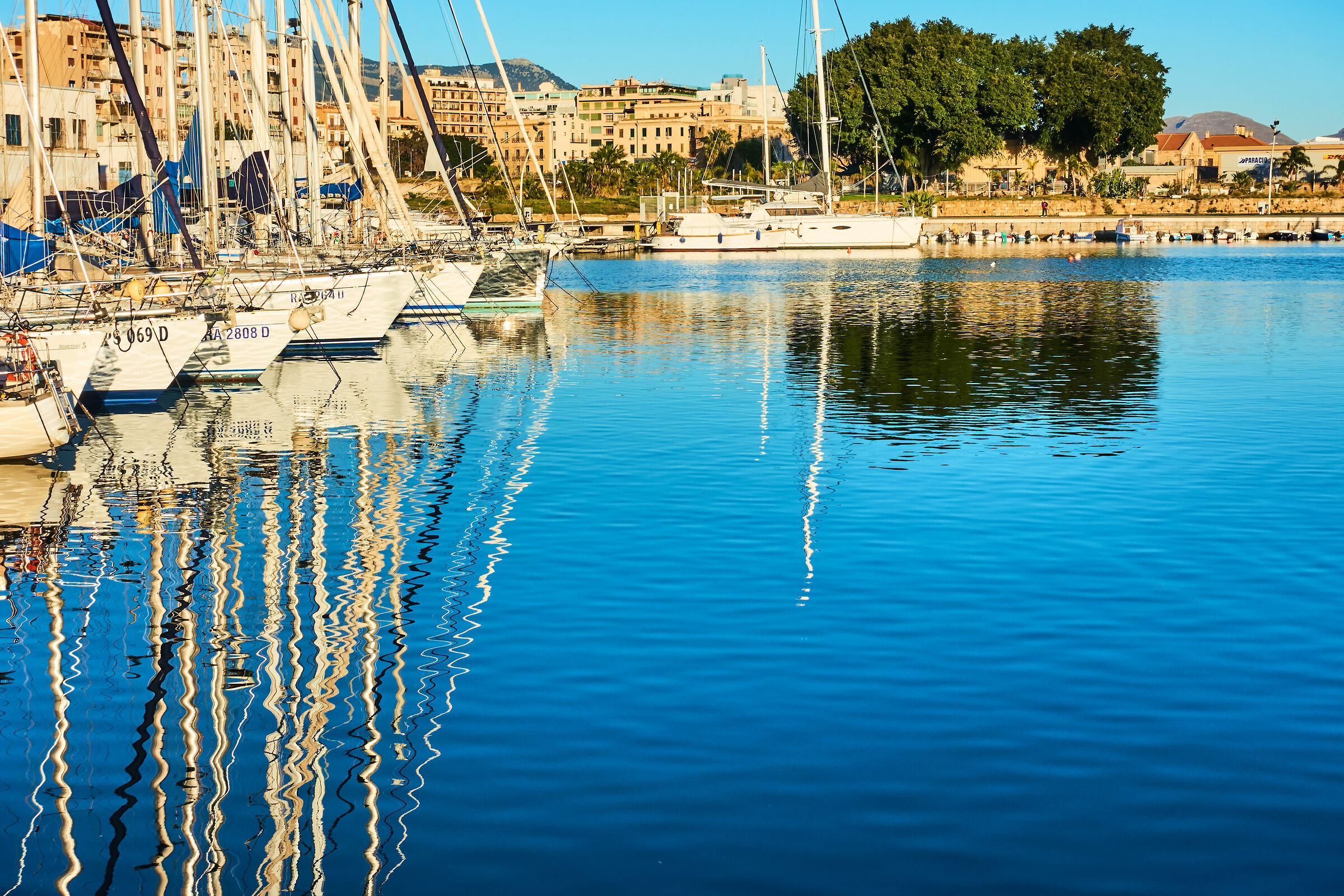 Palermo, la Cala: reflections