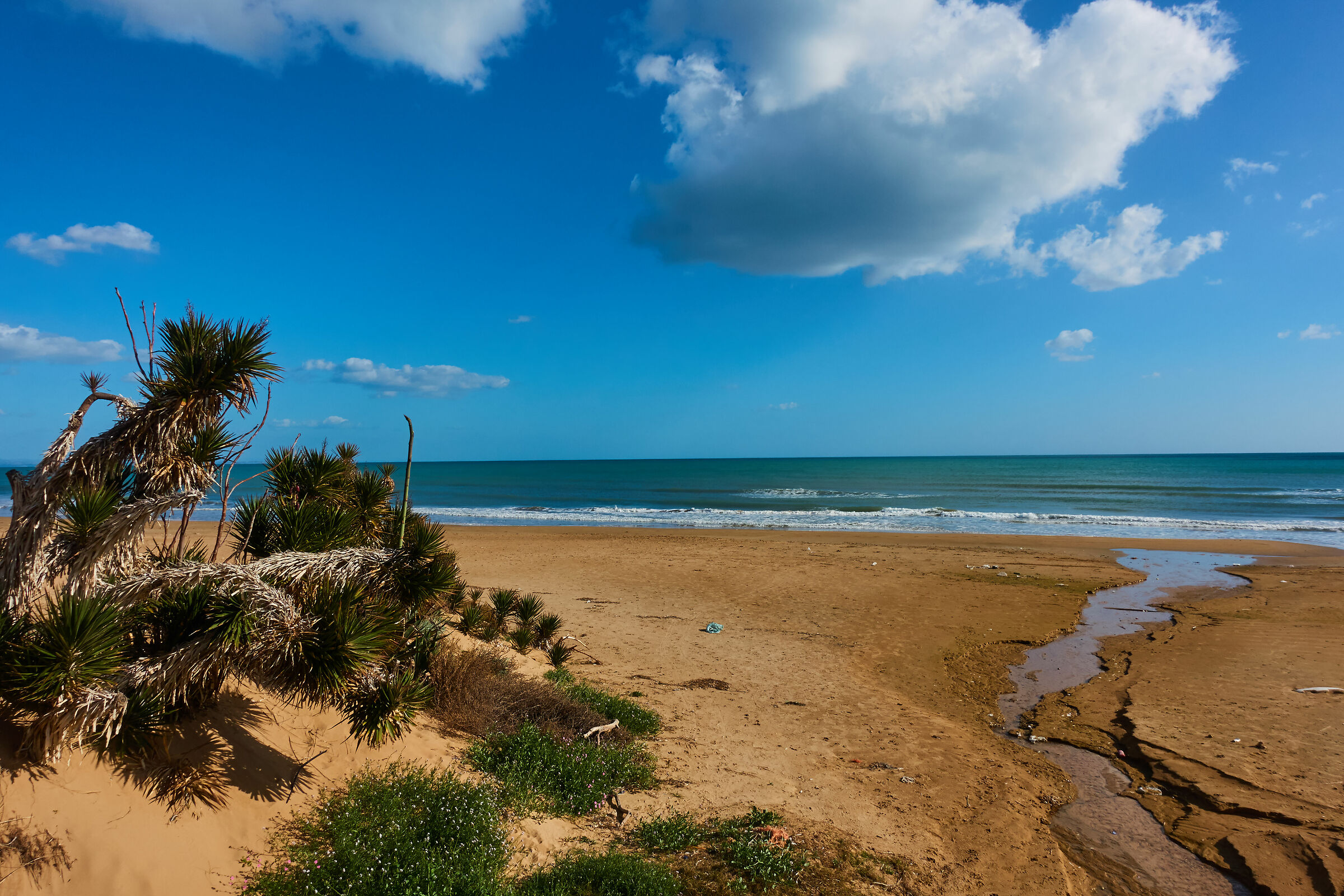 Tre Fontane: il mare d'inverno