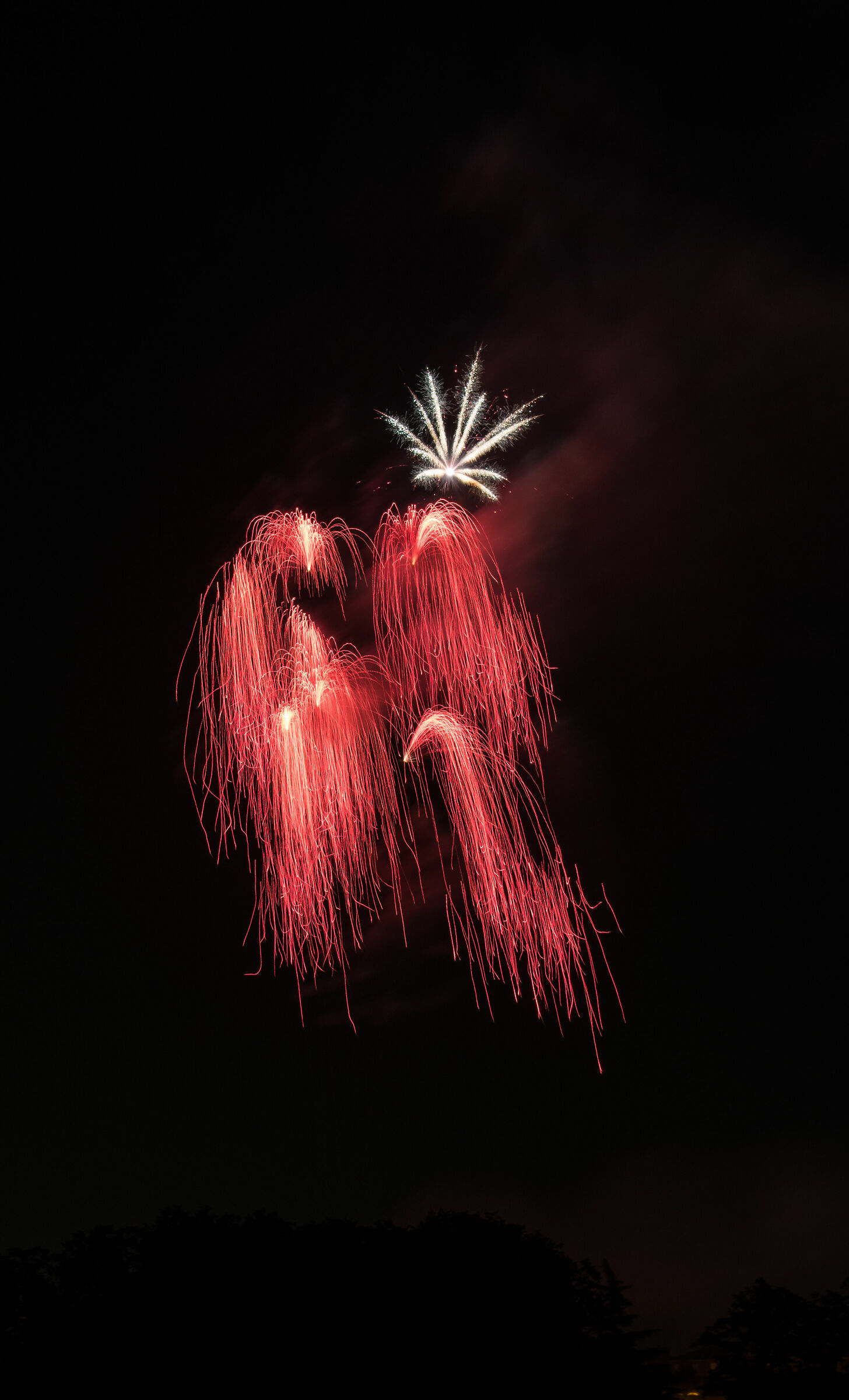 Un pugile con la corona?