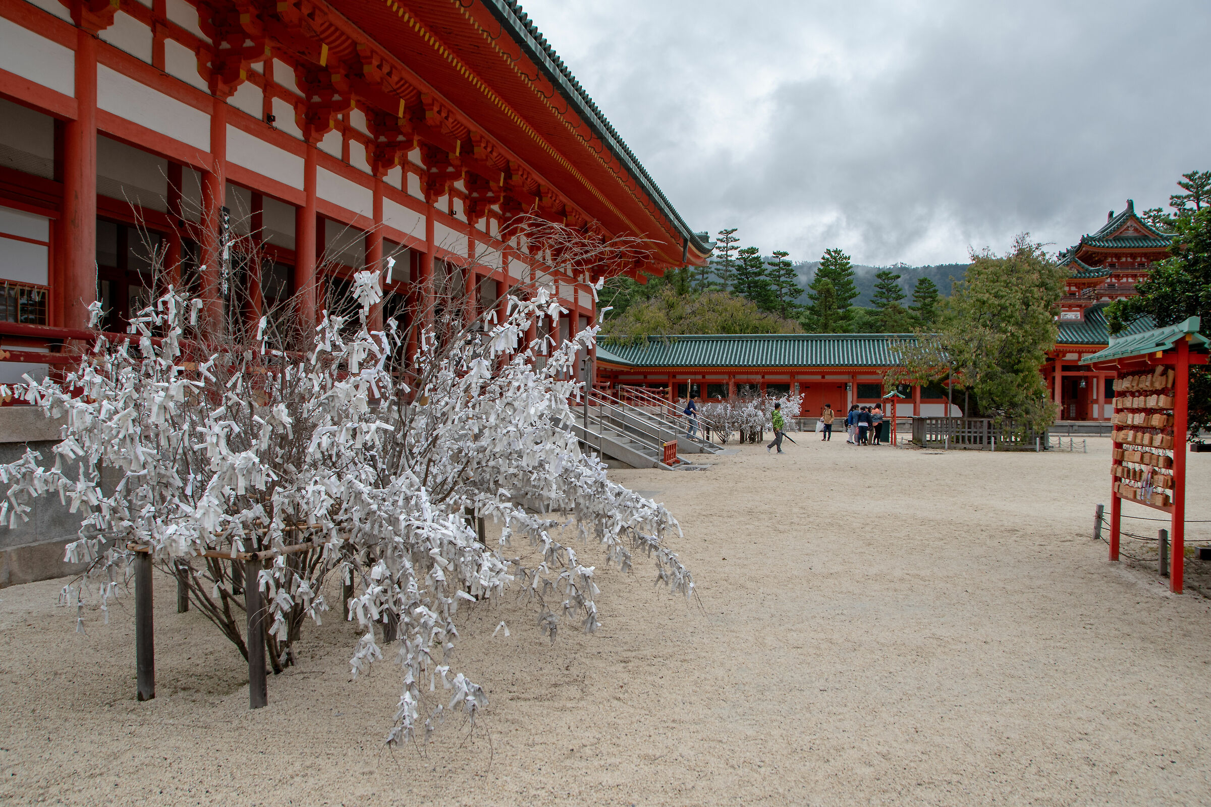 ogni foglia un desiderio