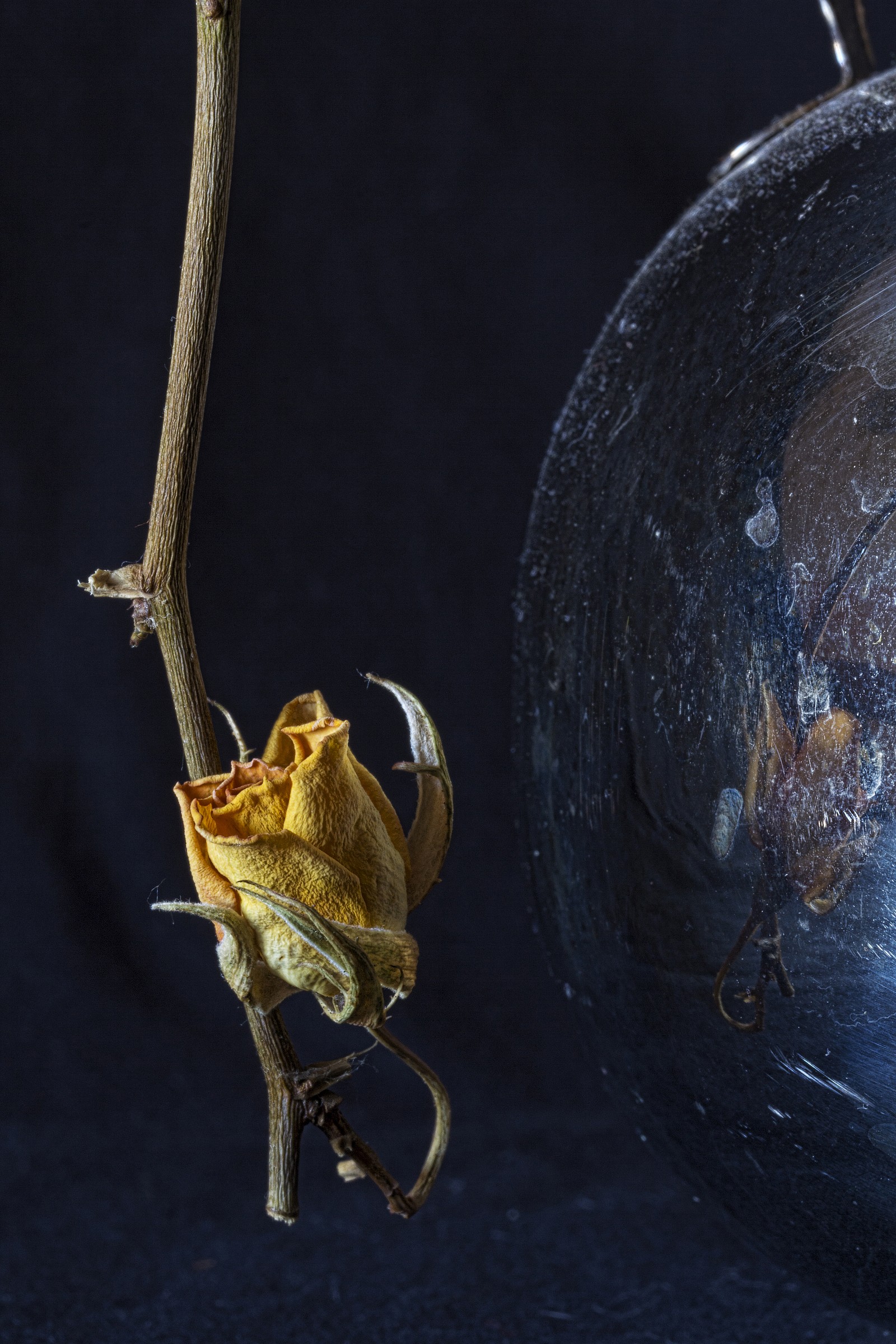 light, colors and reflections...