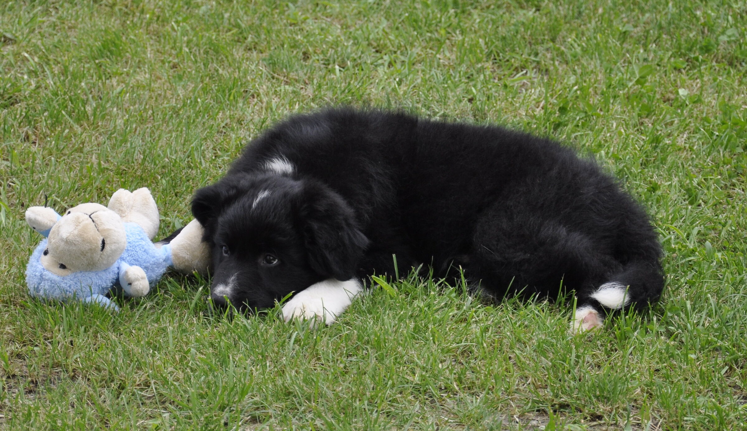 I primi giorni a casa nostra