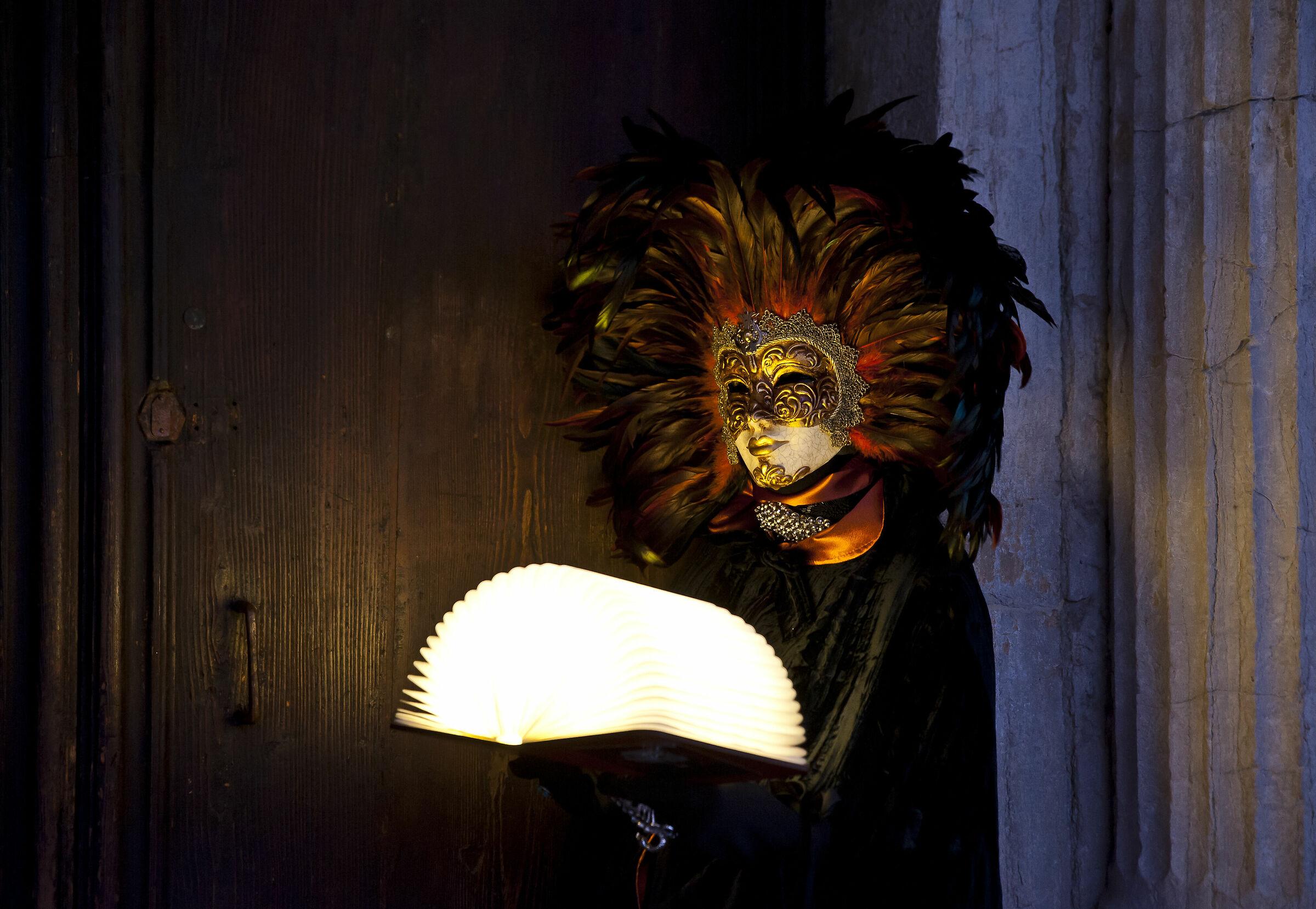 Venice Carnival 2020