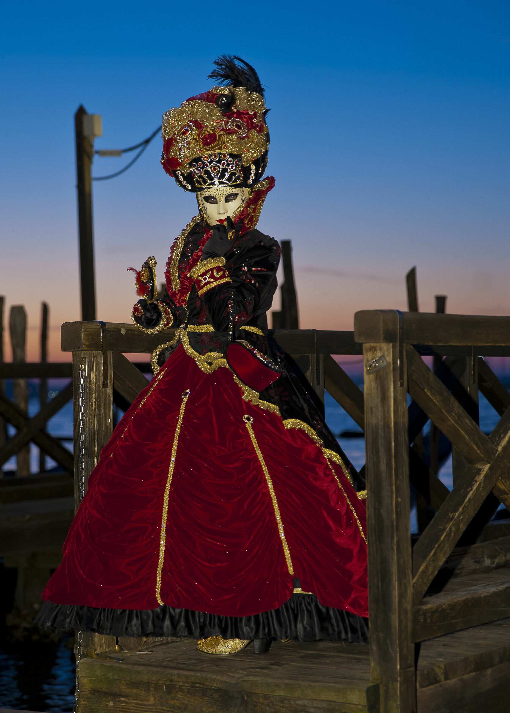 Venice Carnival 2020