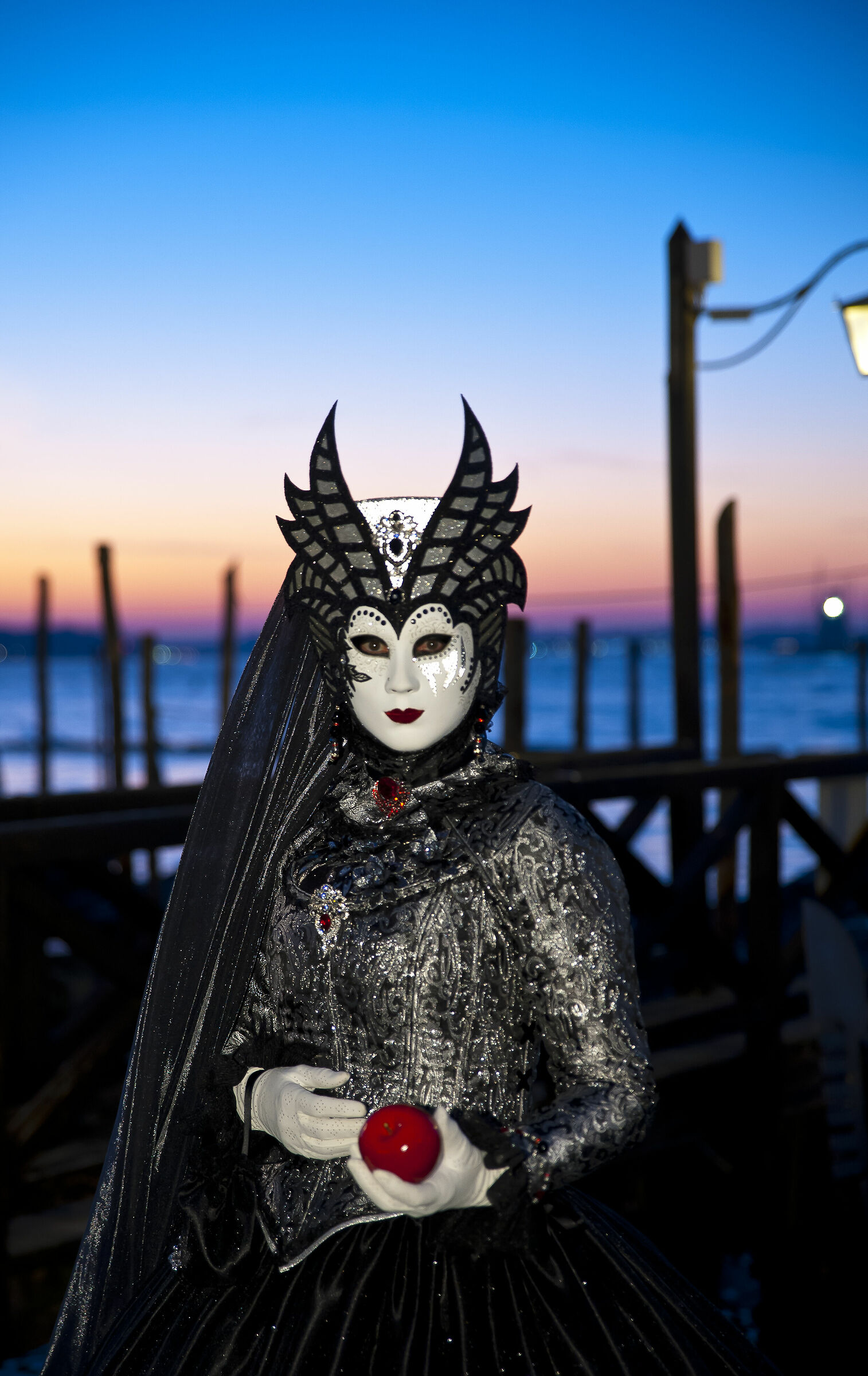 Venice Carnival 2020