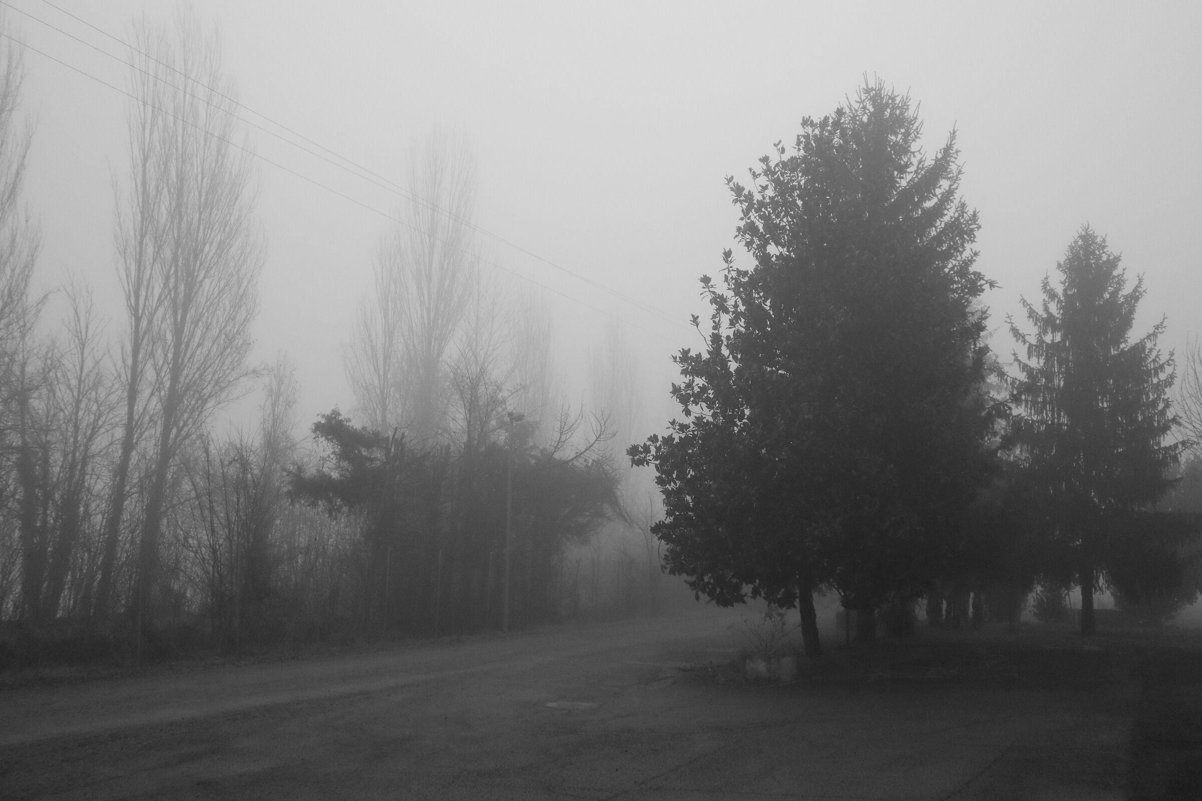 Fog in black and white