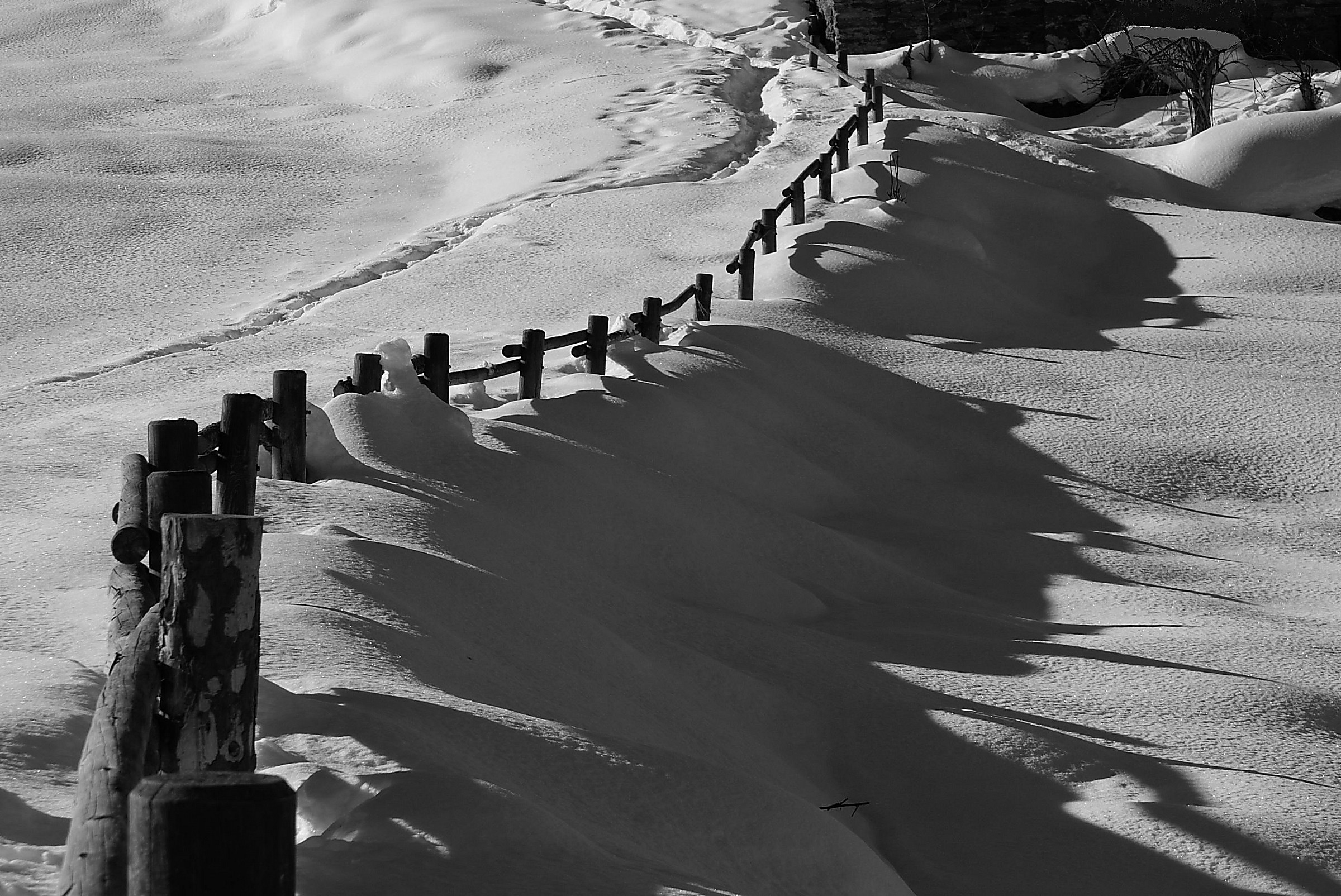 Ombre - Valnontey ( Cogne )