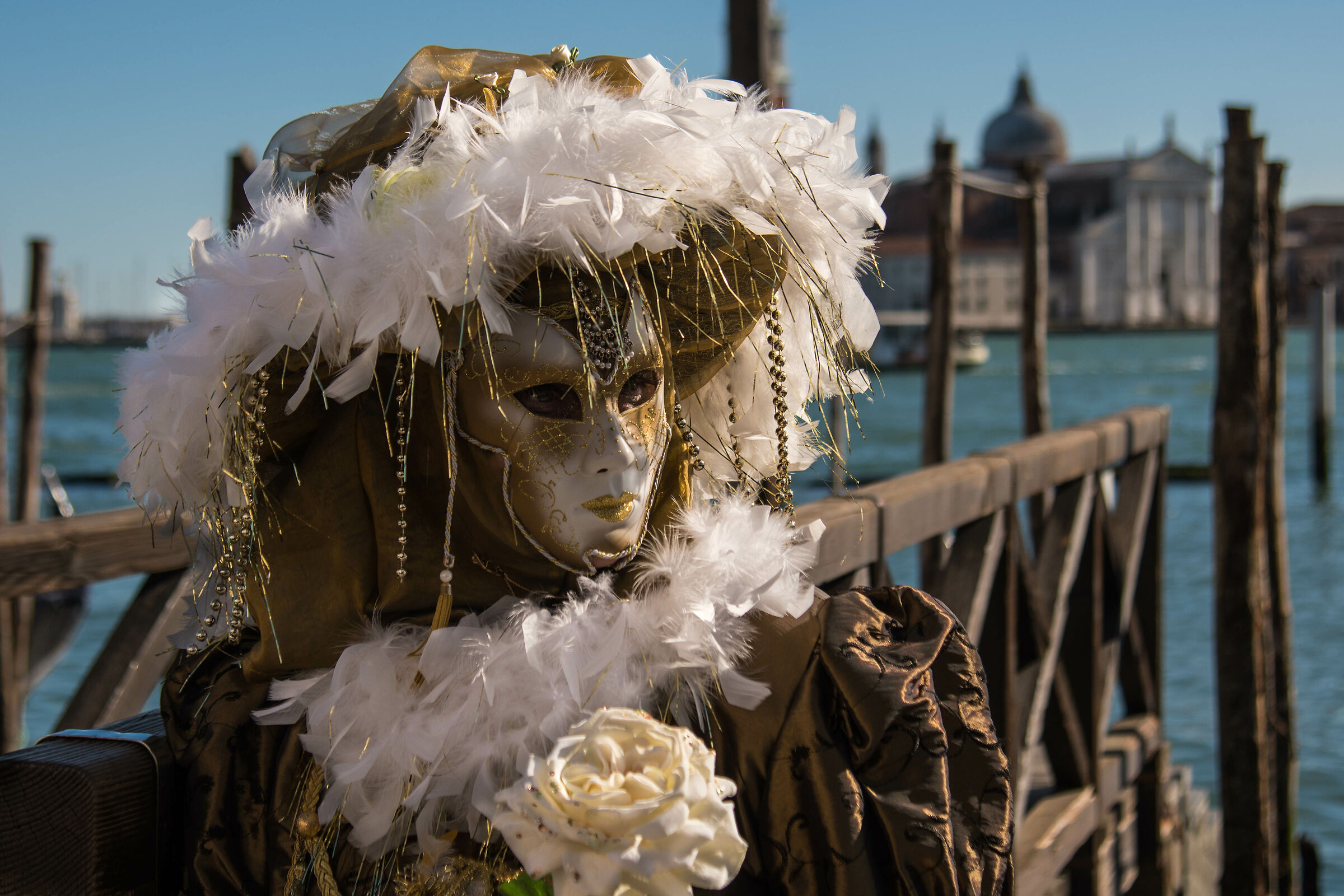 Carnevale di Venezia 2020