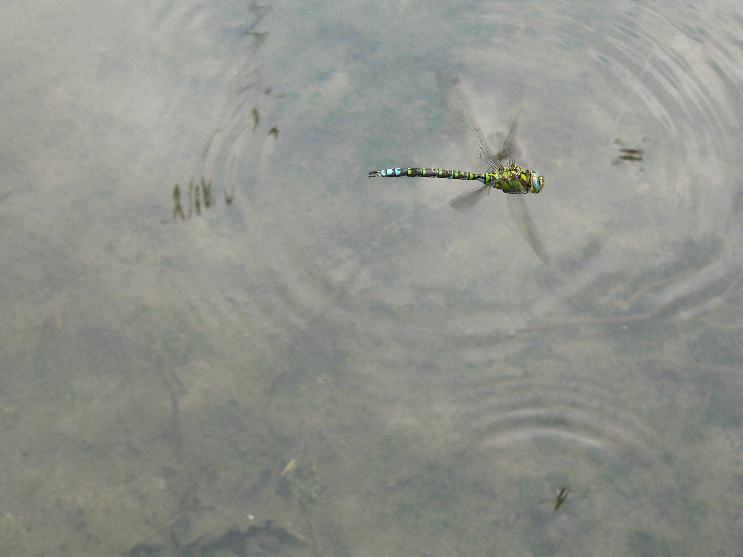 Dieci minuti di pazienza...