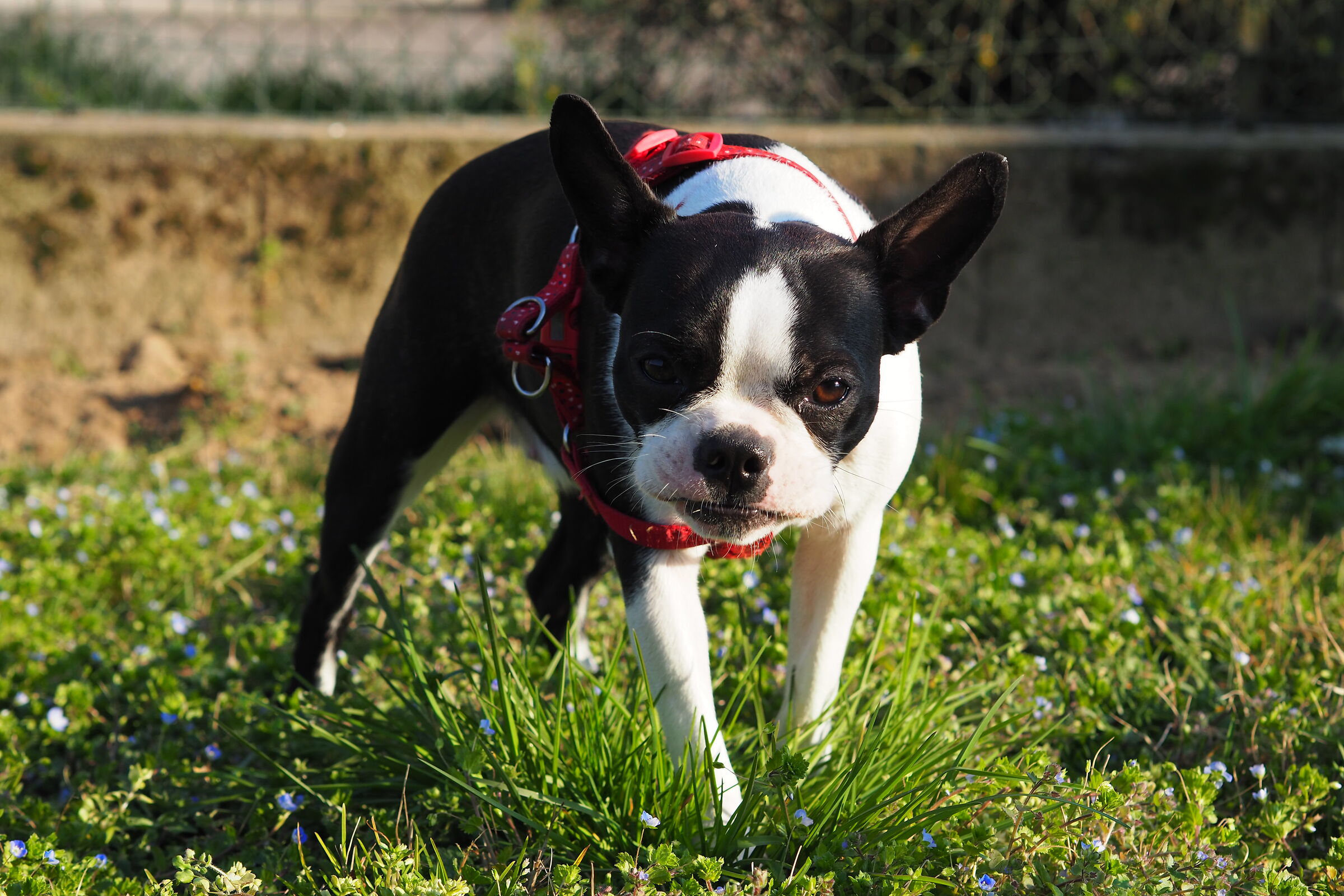 Siamo arrabbiate oggi?? ;)