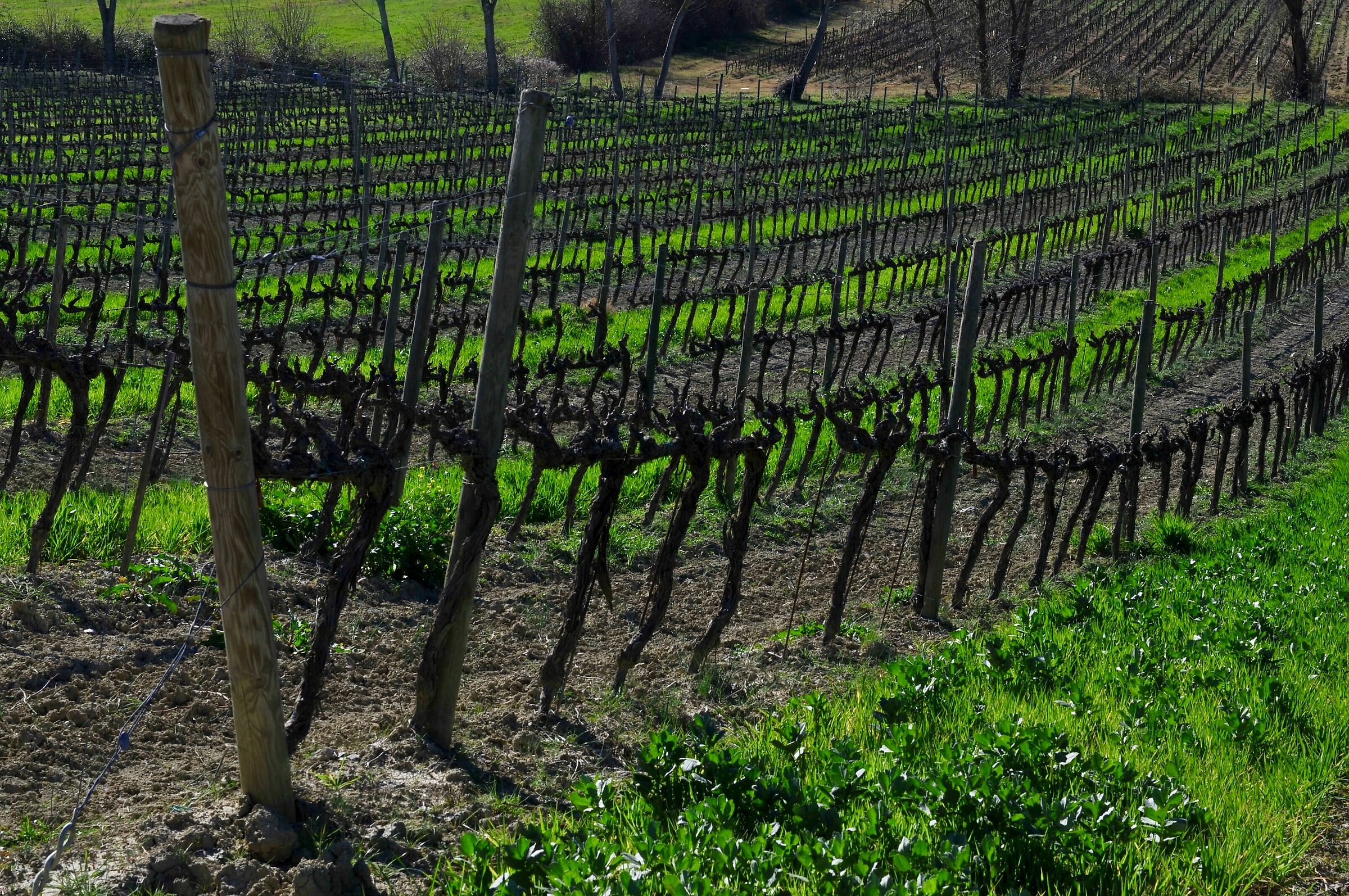 at that time I didn't expect this light