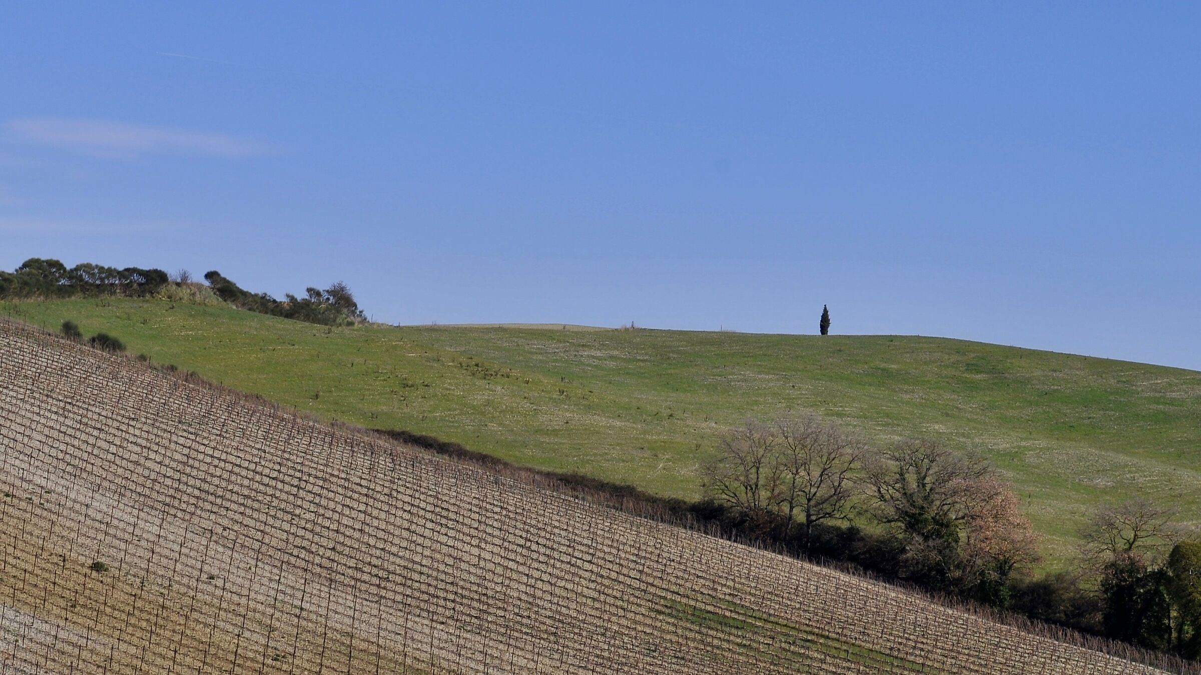 Brunello yes, Brunello no