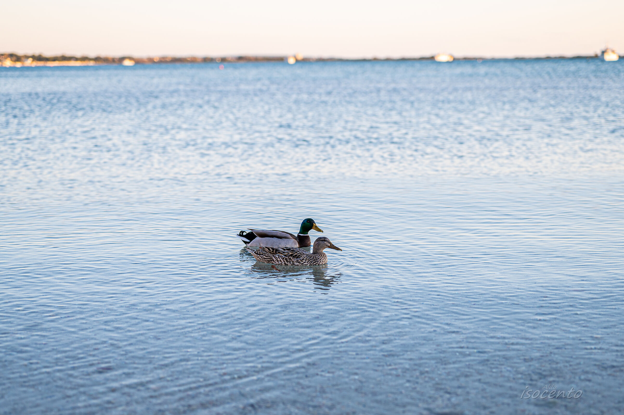 Proof of the new 50 1.8 Z attack