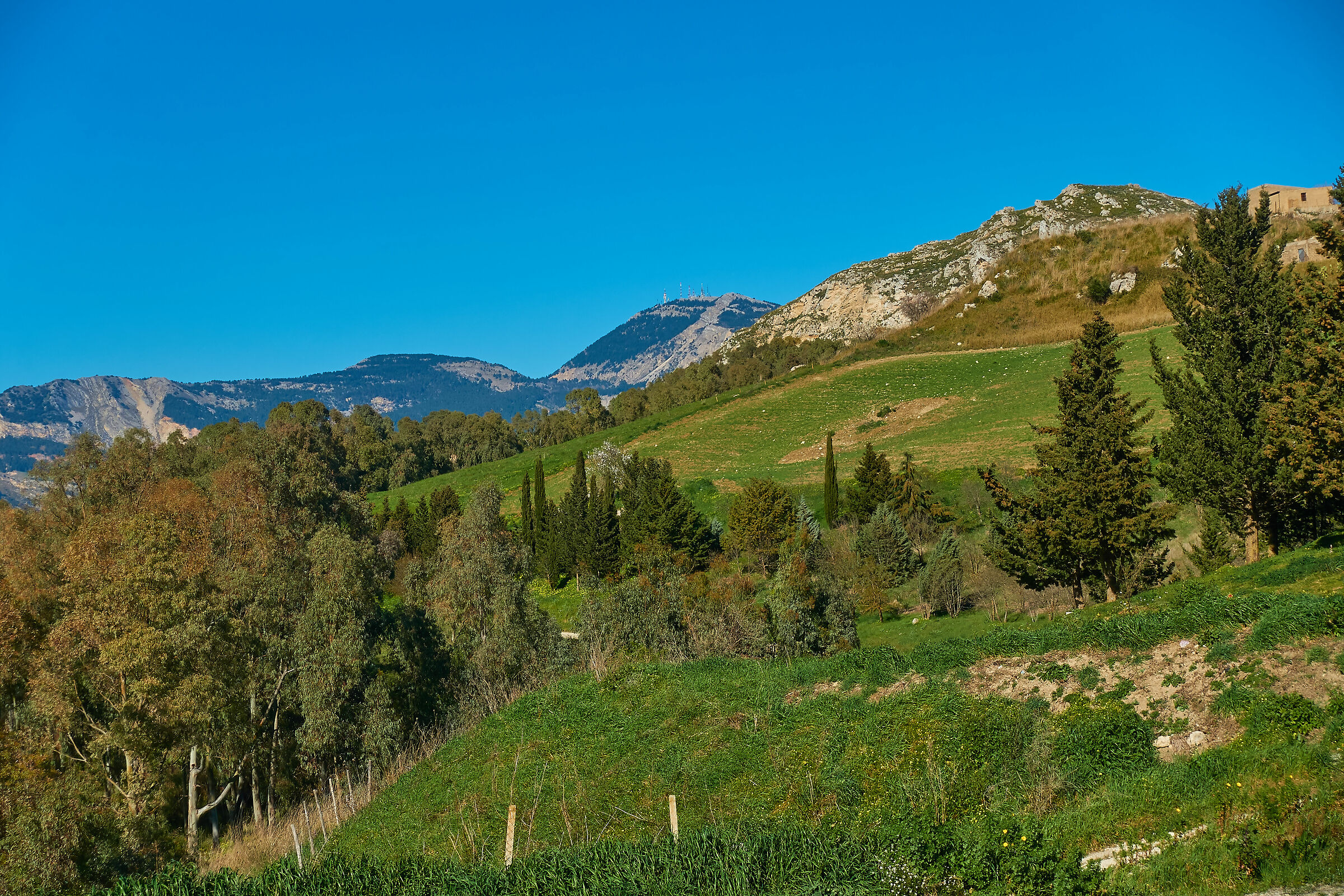 Spring in the Sican Mountains