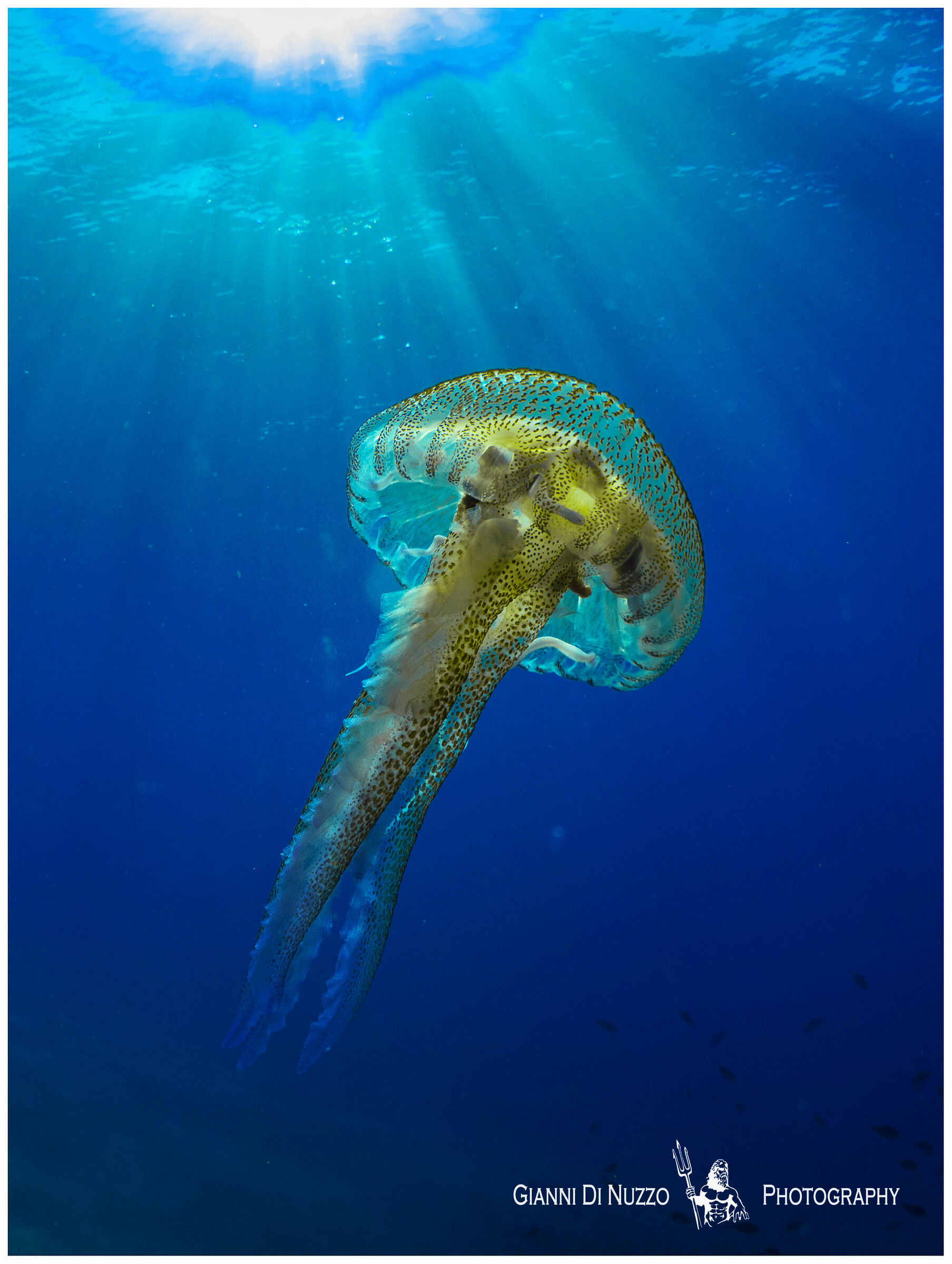 Burn just look at her