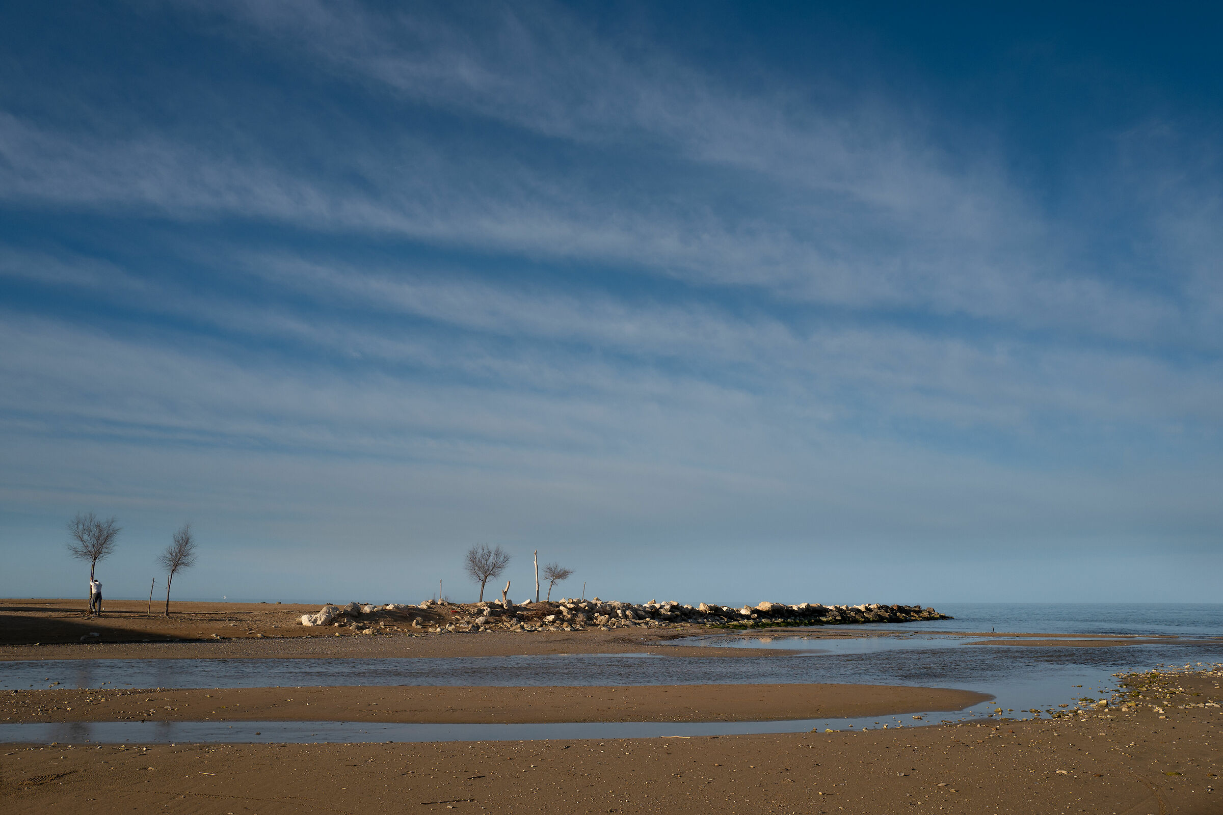 al riparo dall'albero...