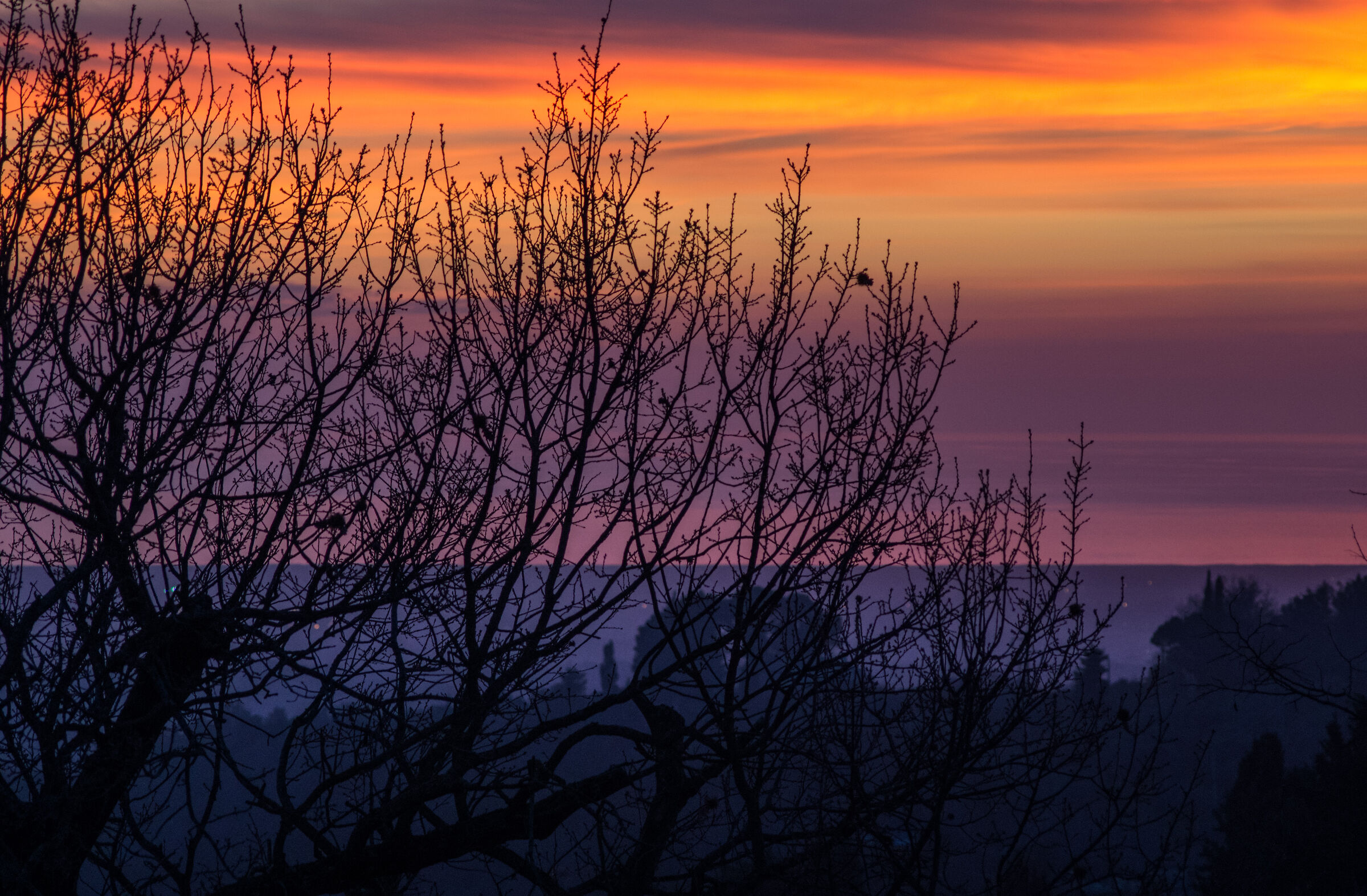 Calde sfumature di Febbraio