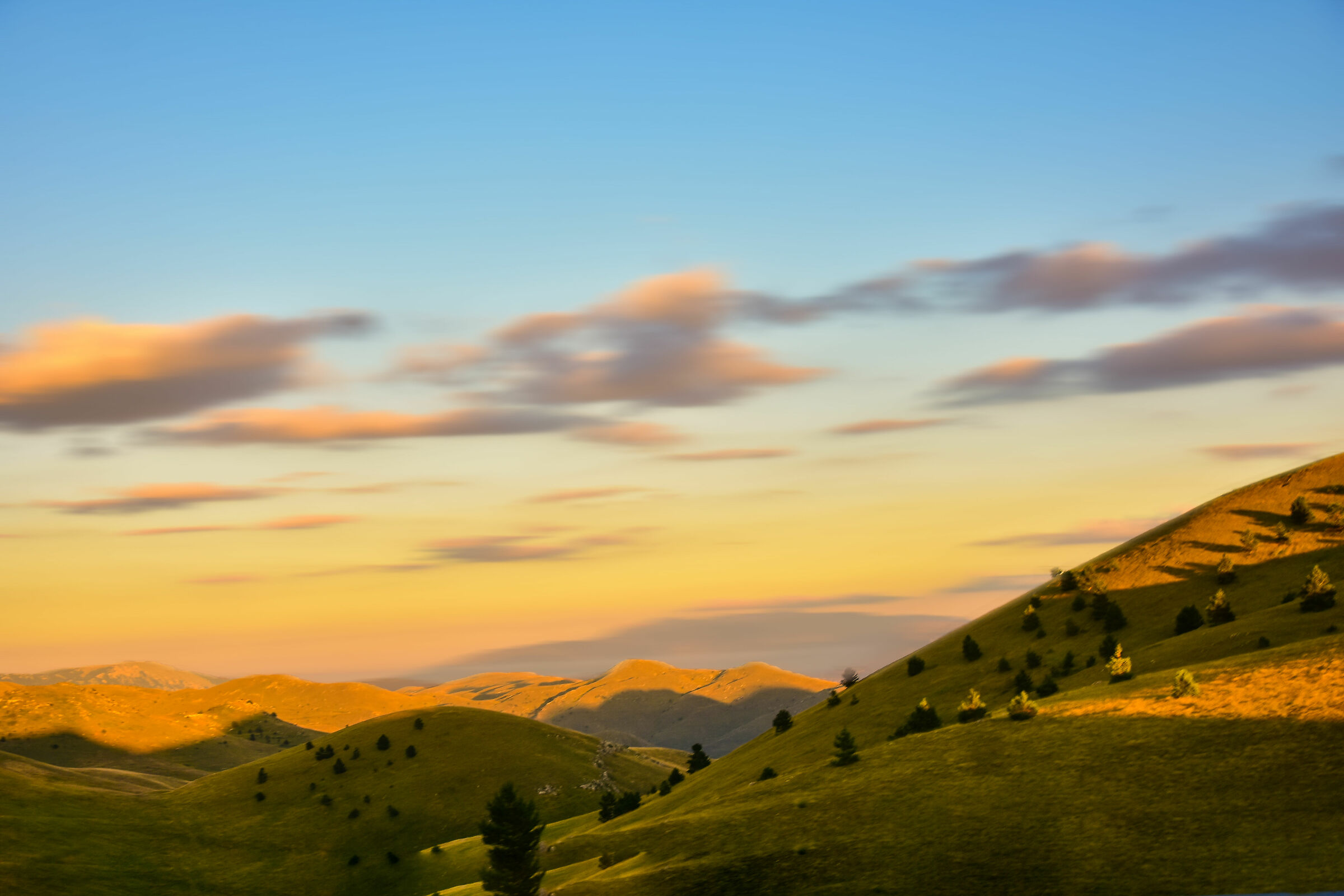 Colors of Emperor Field