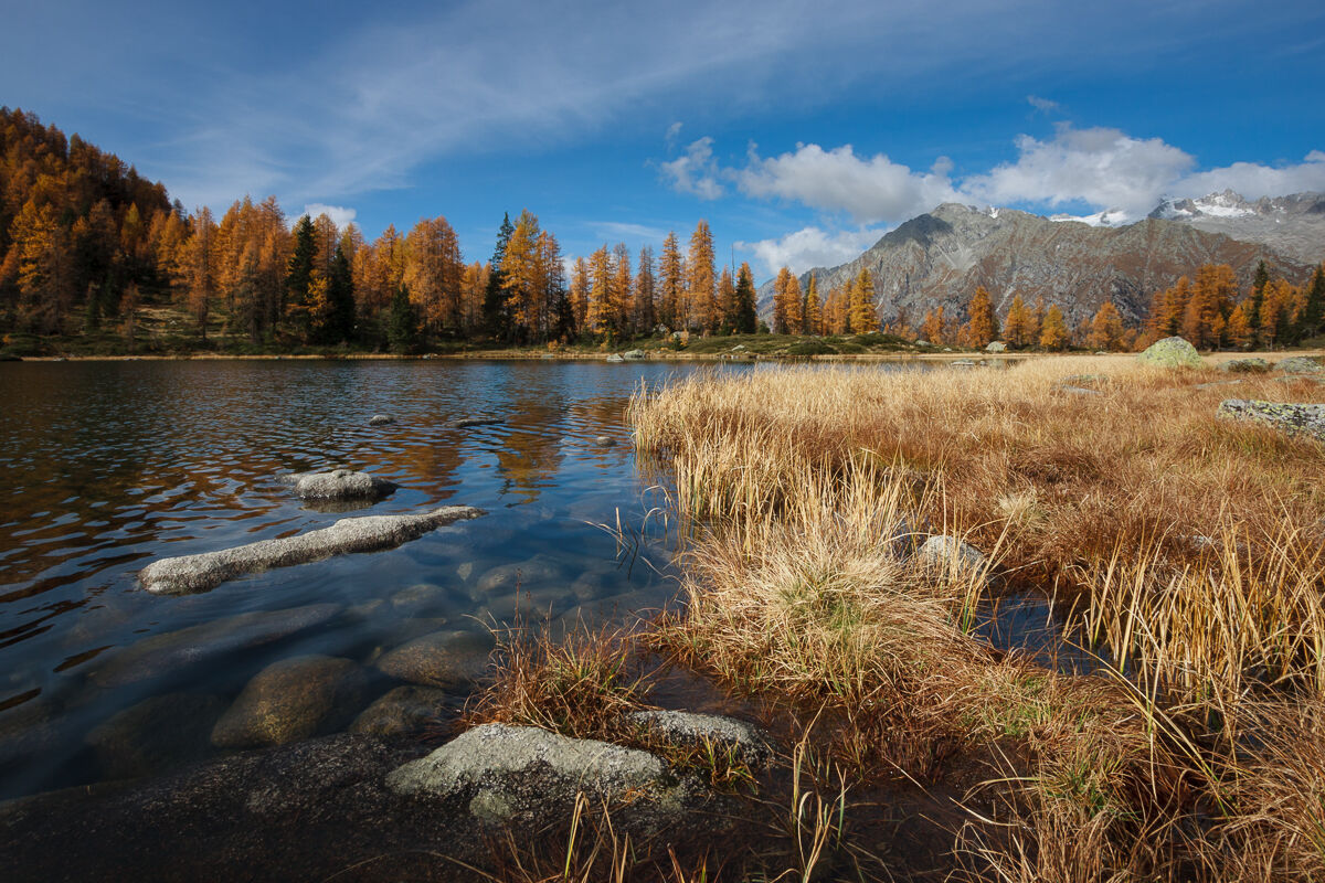 The trip to the lake ...