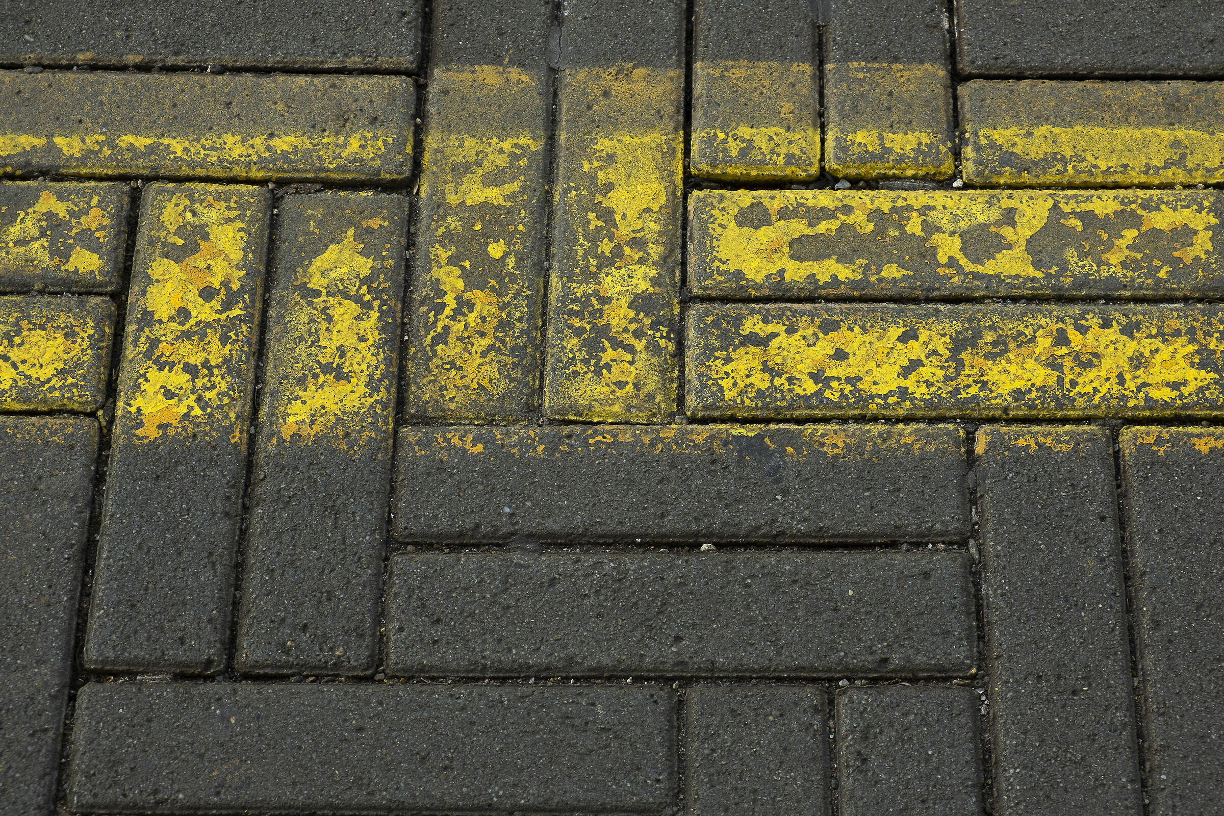 don't cross the yellow line