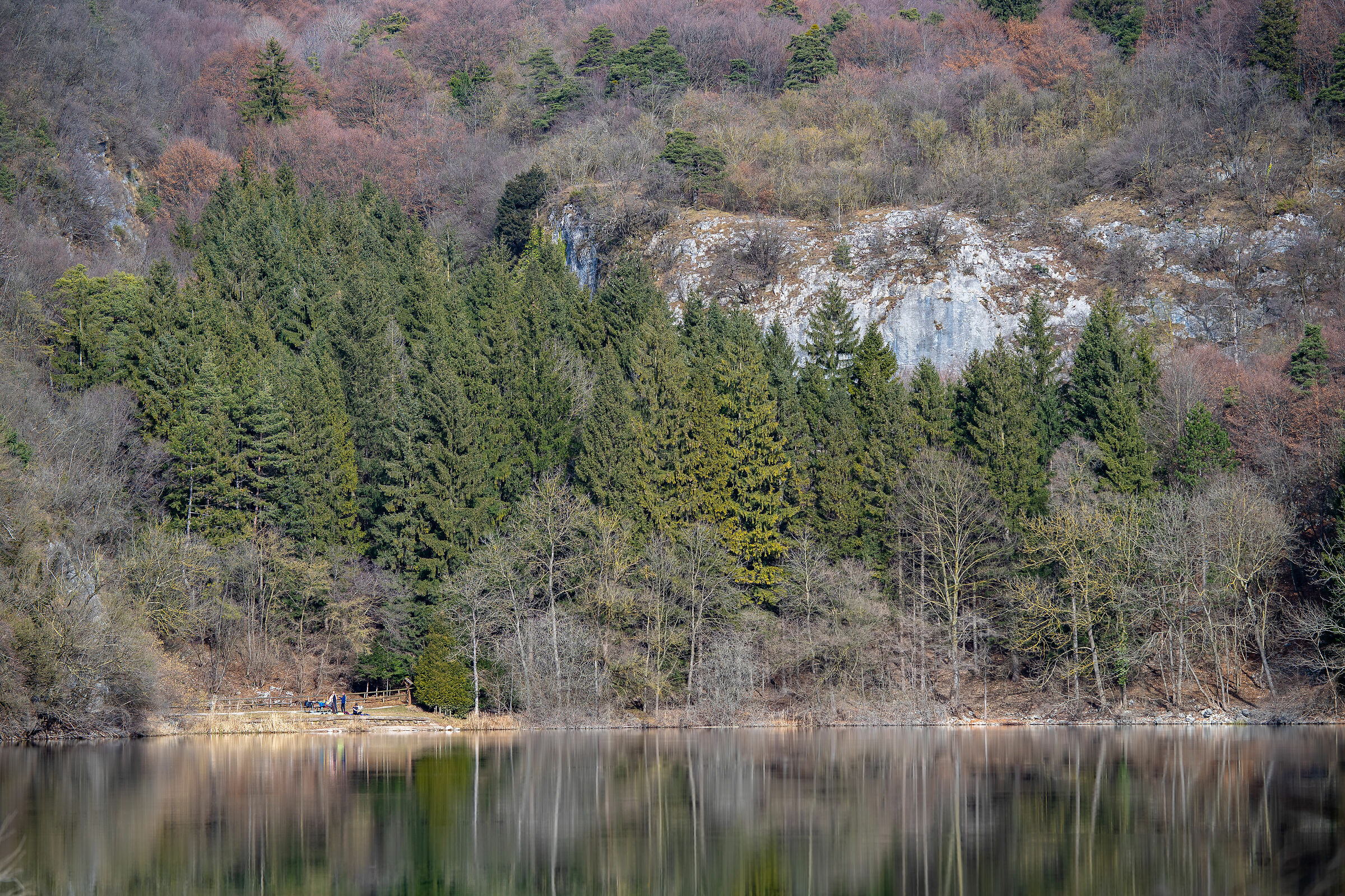 Un muro di alberi e roccia