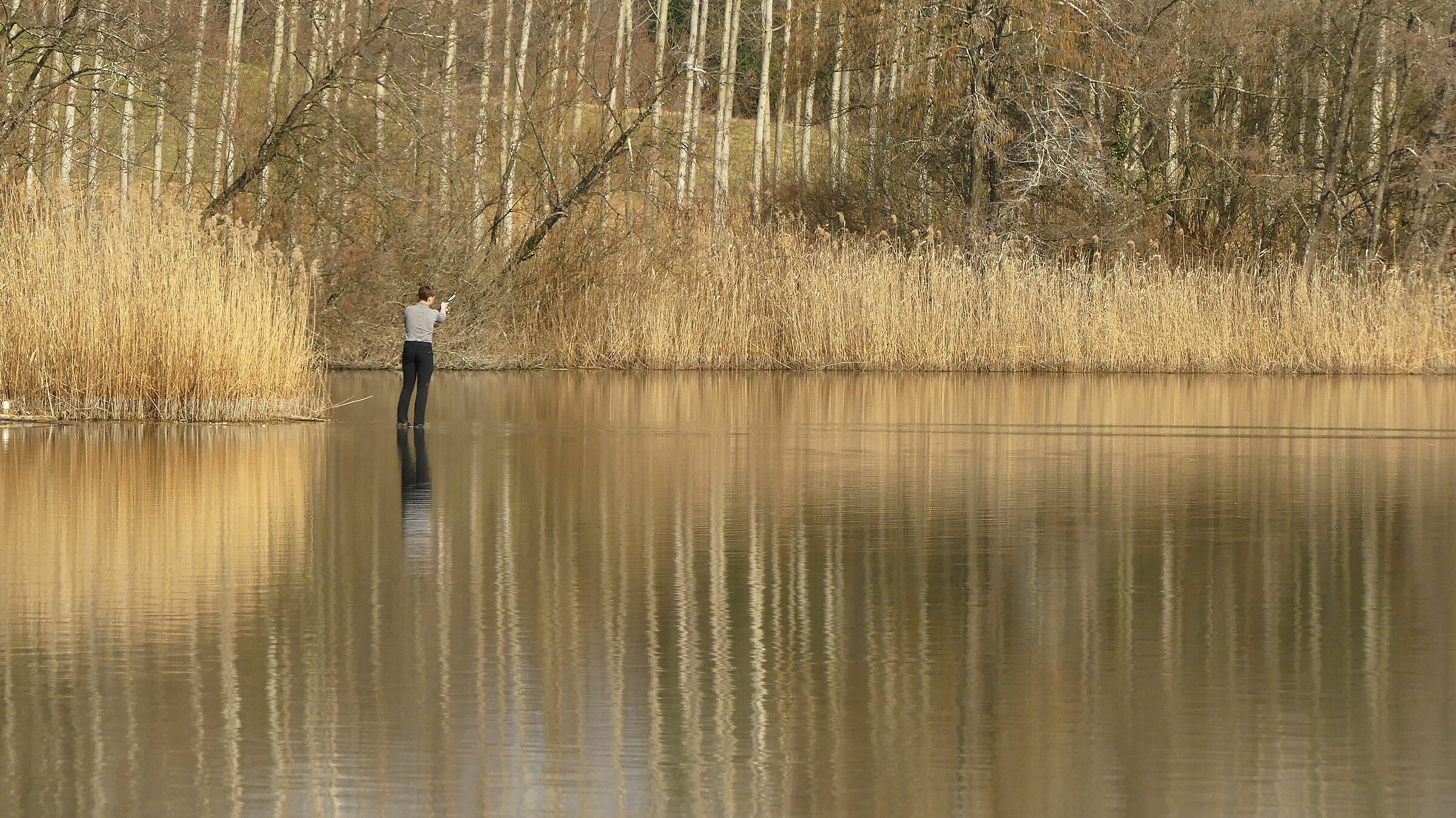 Pescando tra i riflessi
