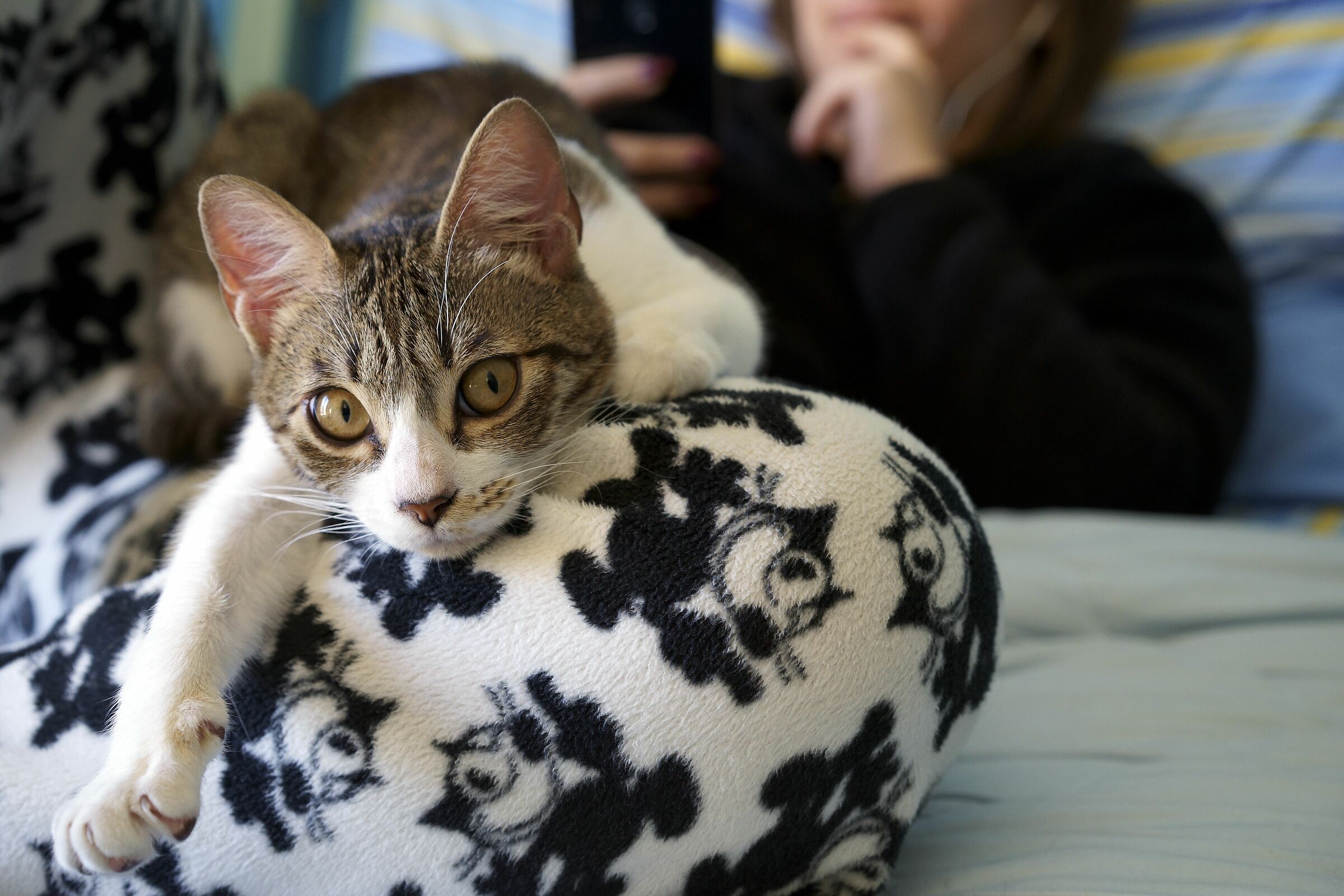 RIPOSO WITH AMICA BIPEDE