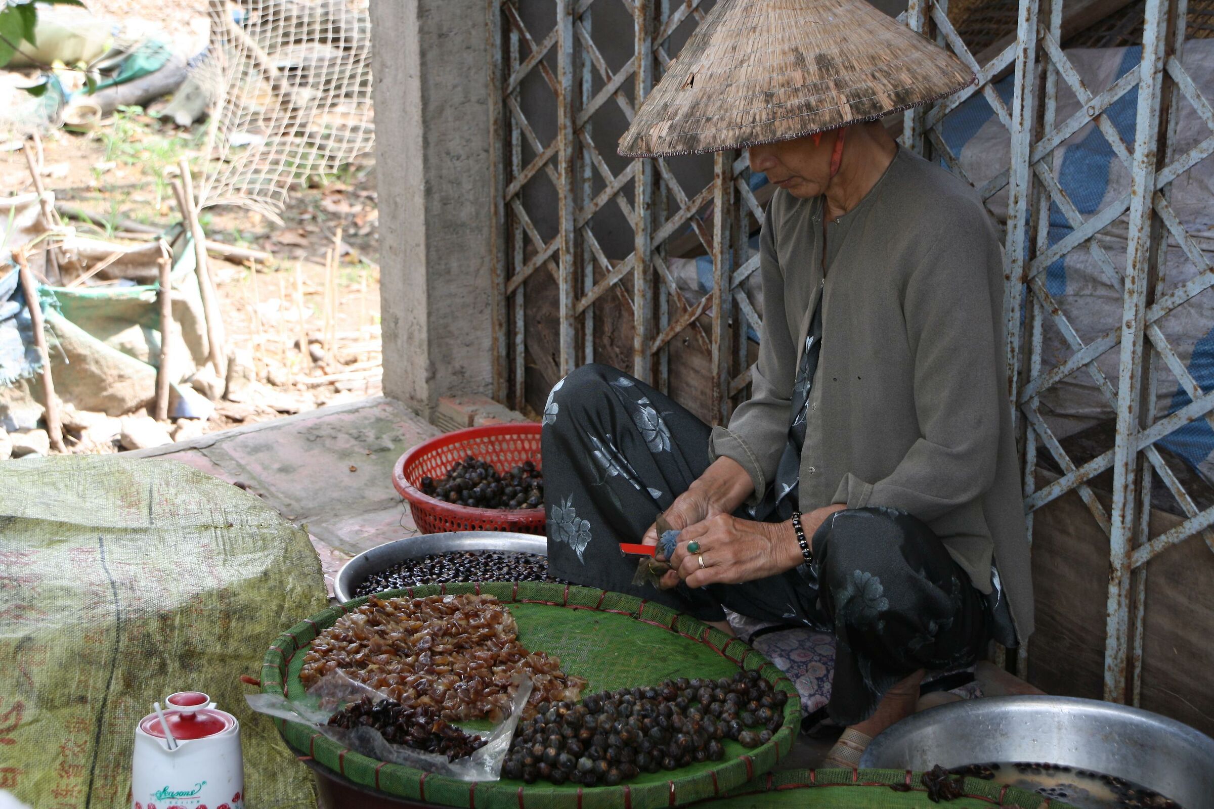 Along the Mekong