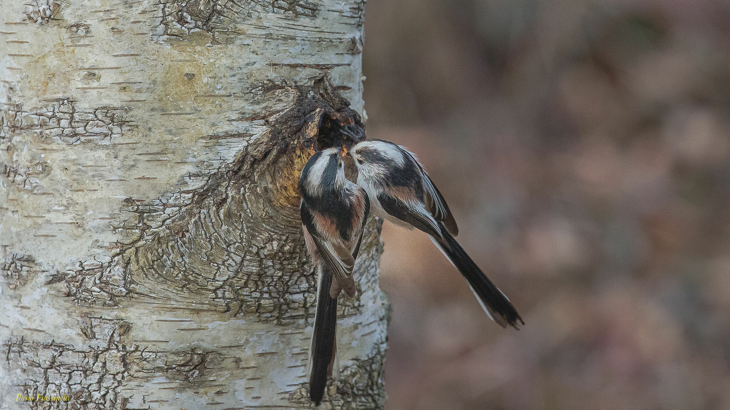 We split from good friends