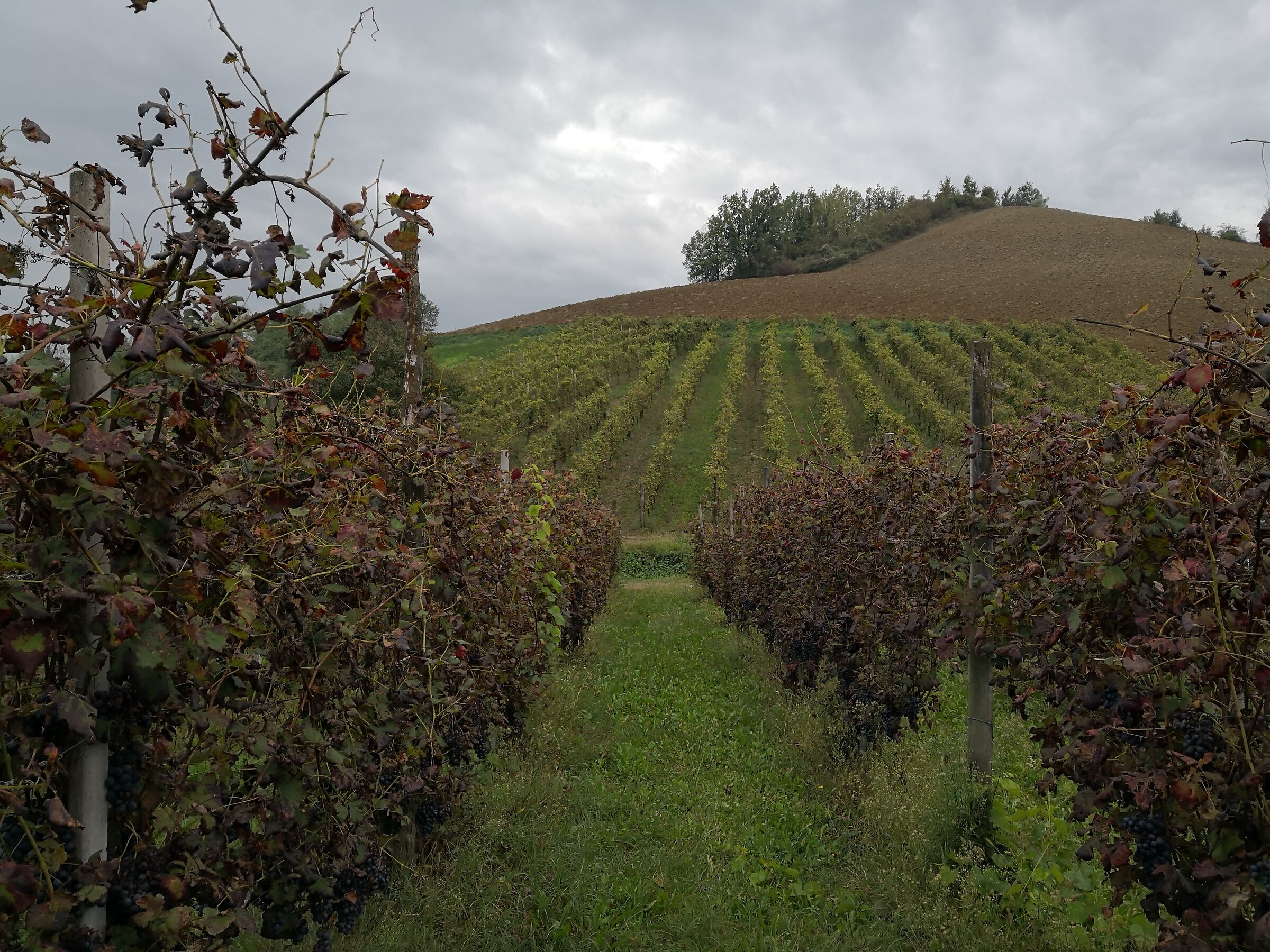 After the harvest, after the sun