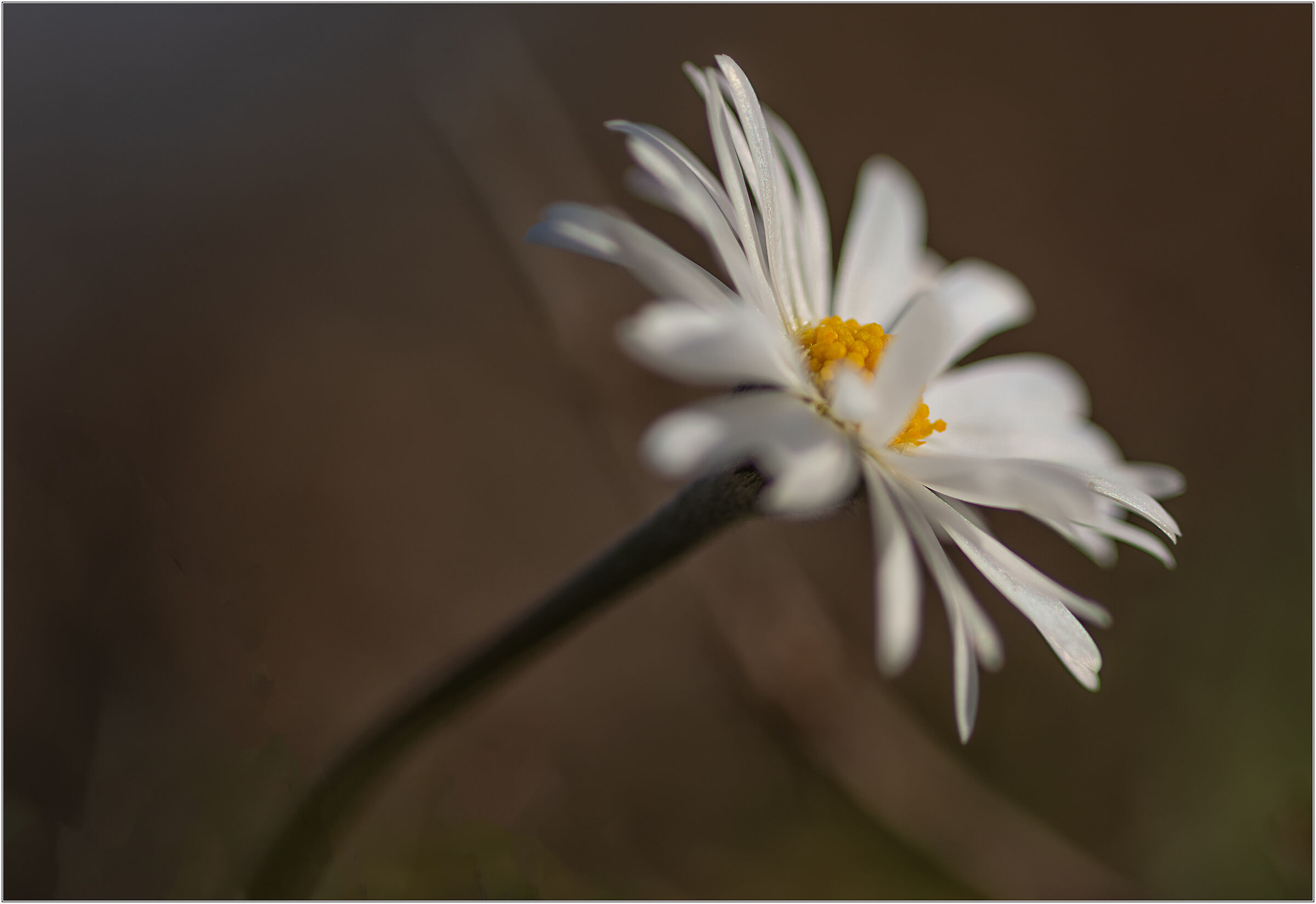 Then with buckets of paint we color all the walls