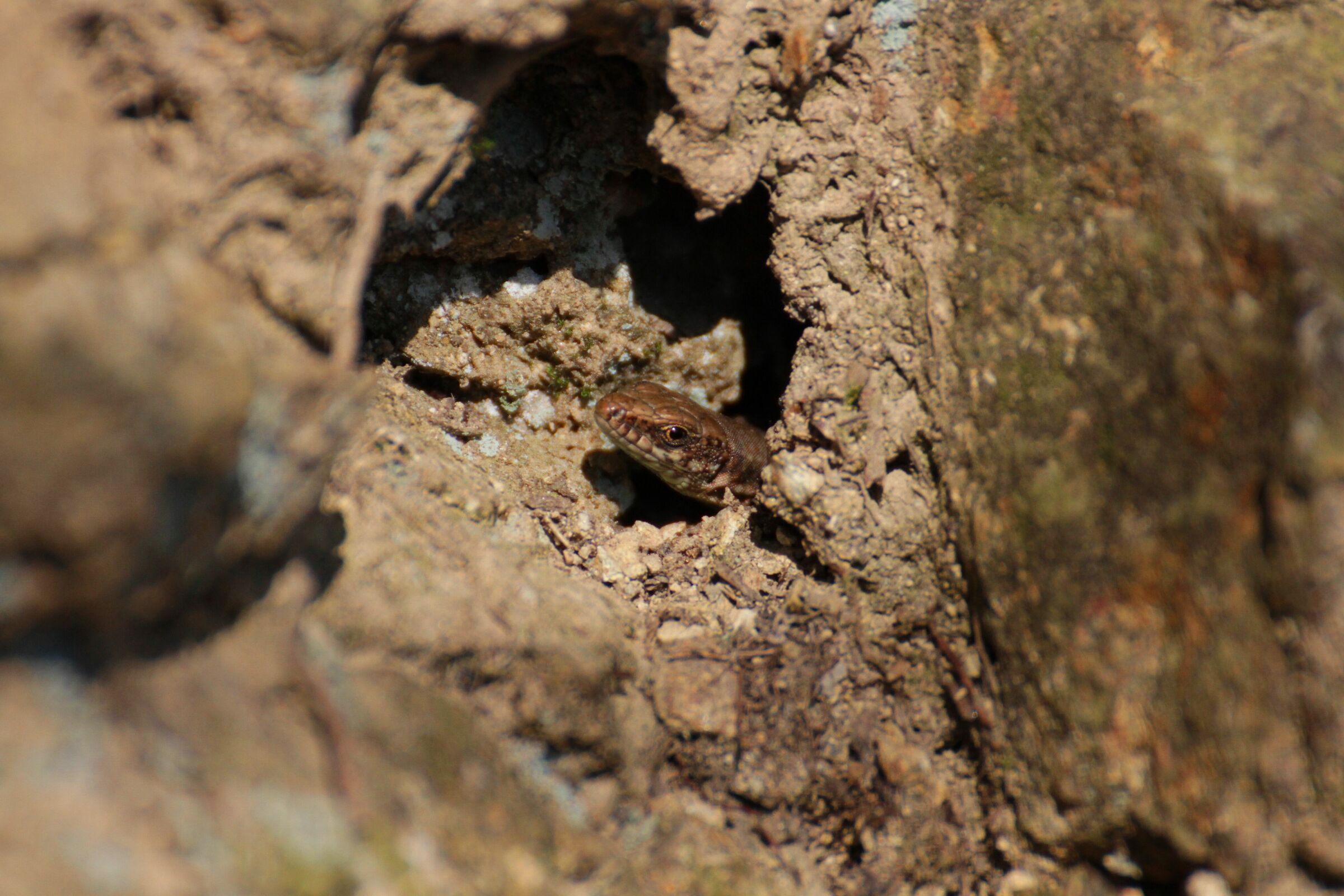 ma cosa vuole questo qua!?!?!