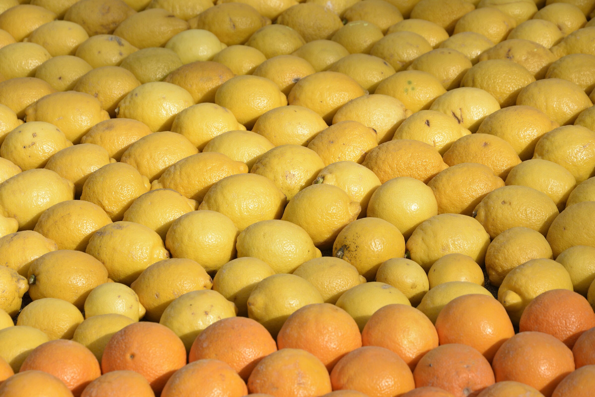 Mentone fete du citron 2020