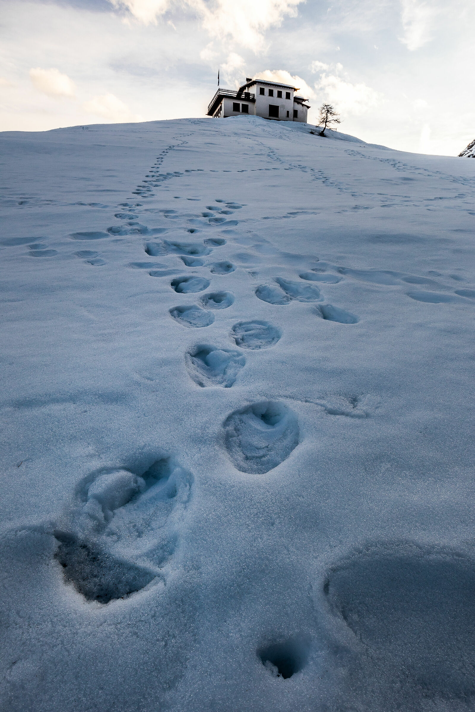 Footprints, Sd.