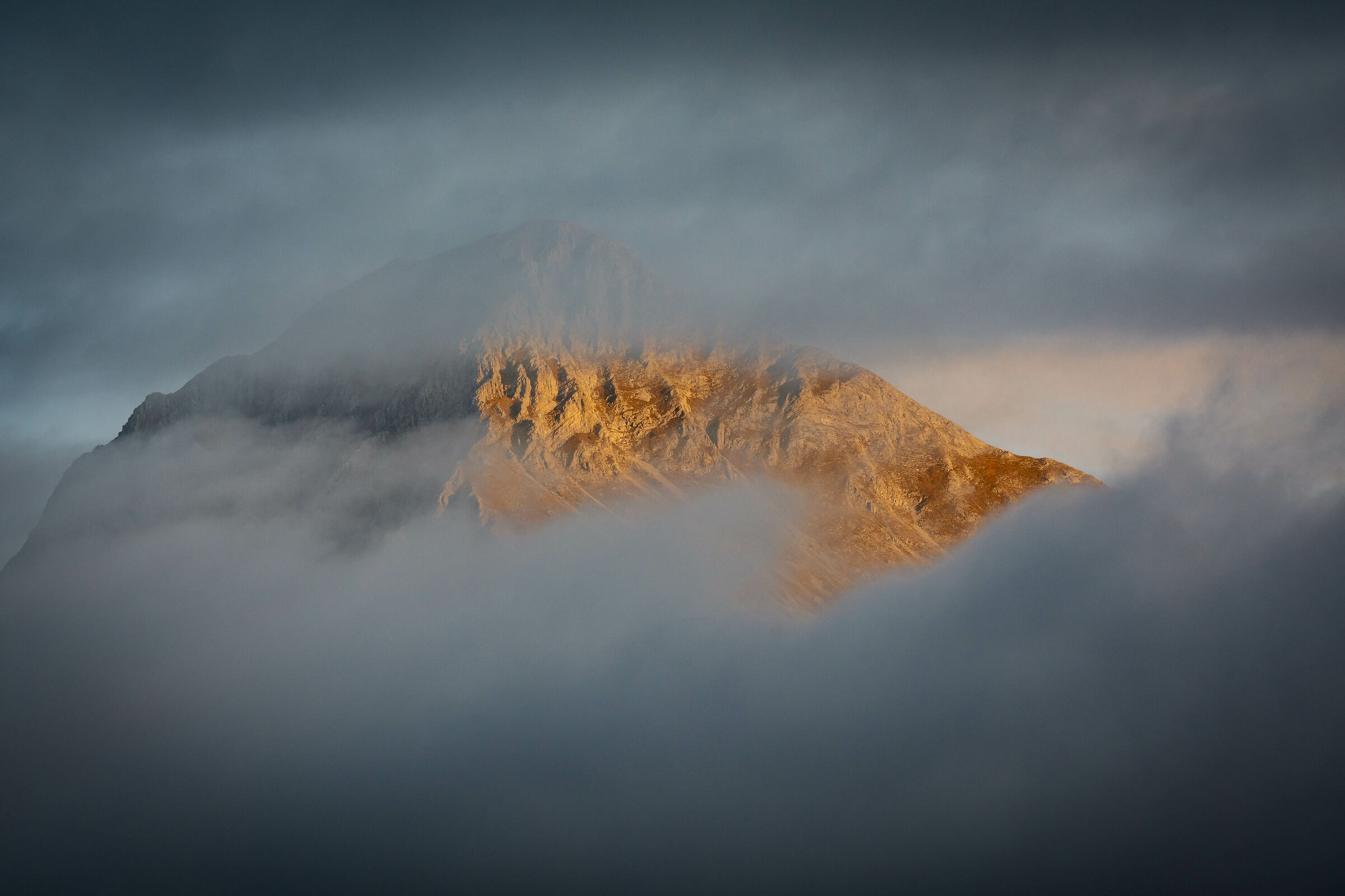 Il risveglio della regina