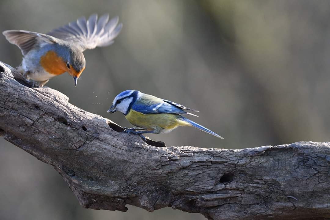 Leave something to me too