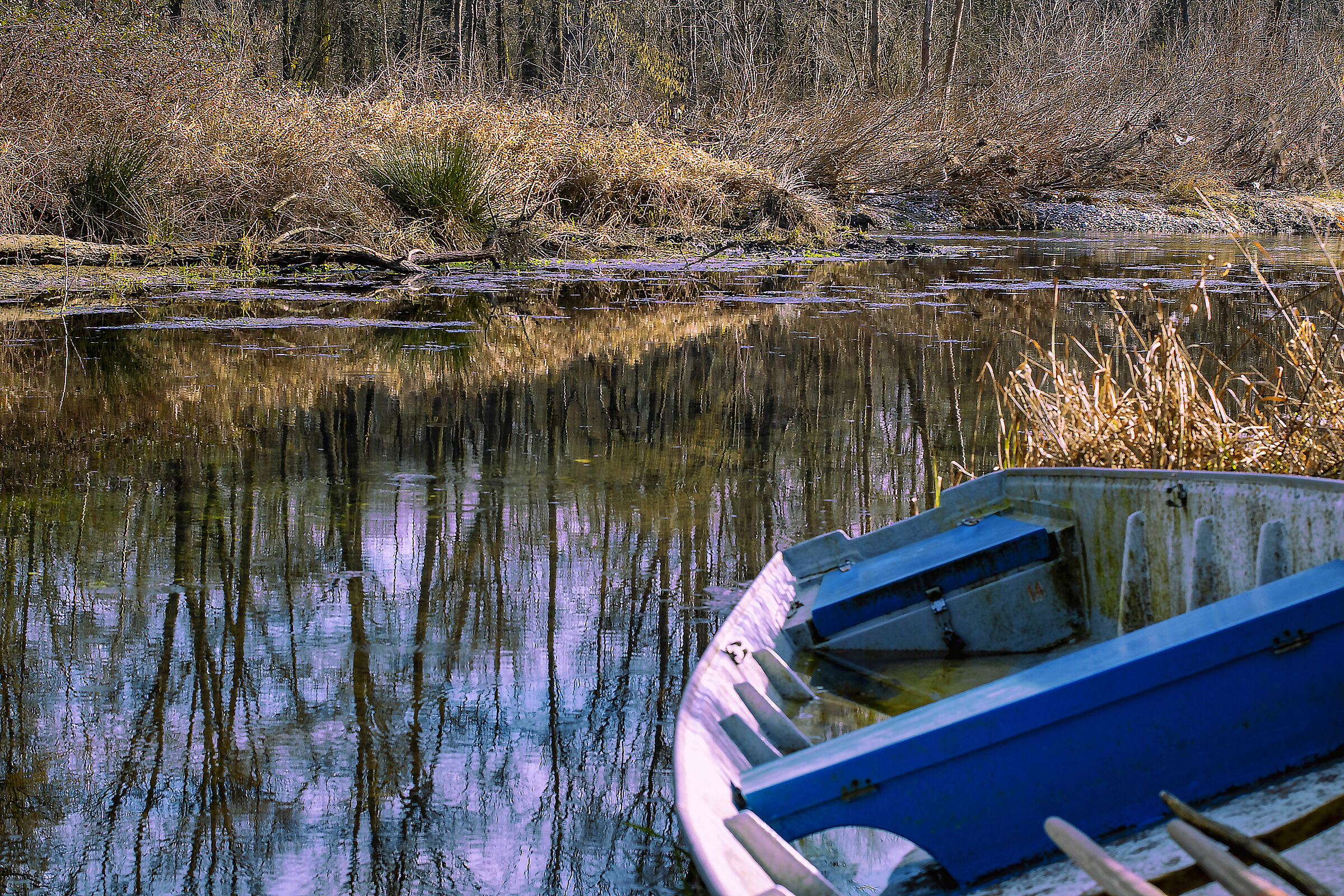 I colori dell'inverno