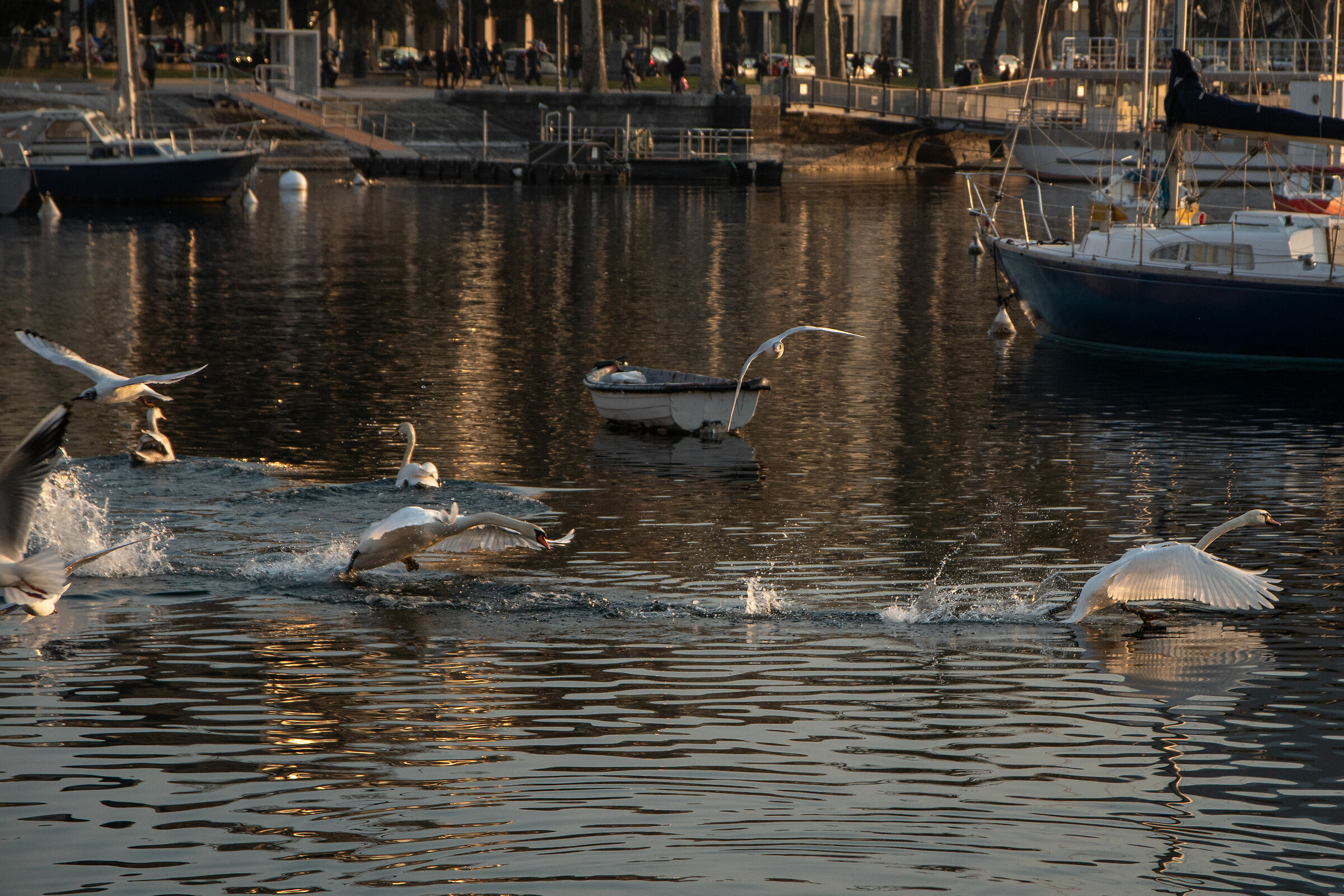 La stagione degli...