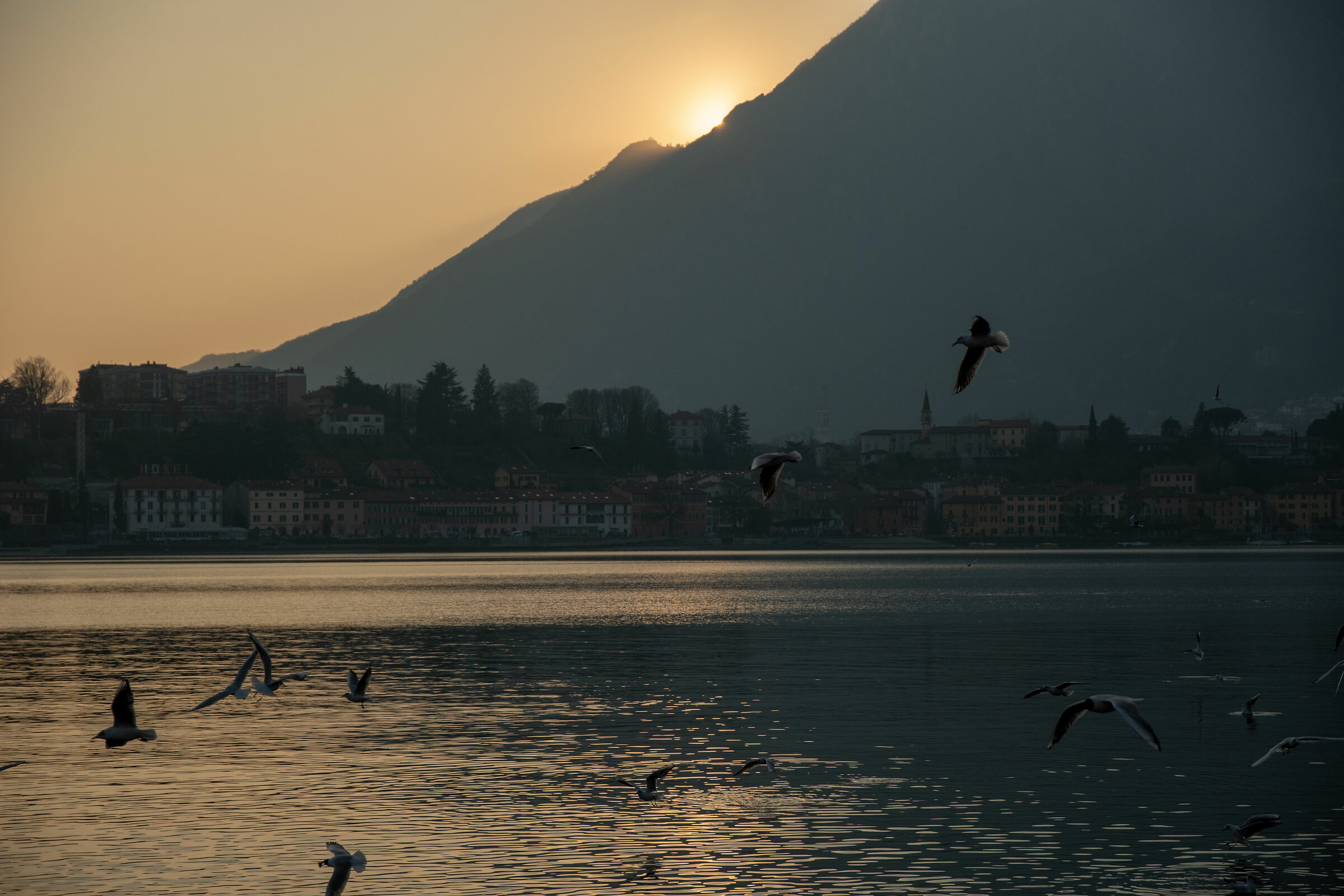 Tramonti sul lago