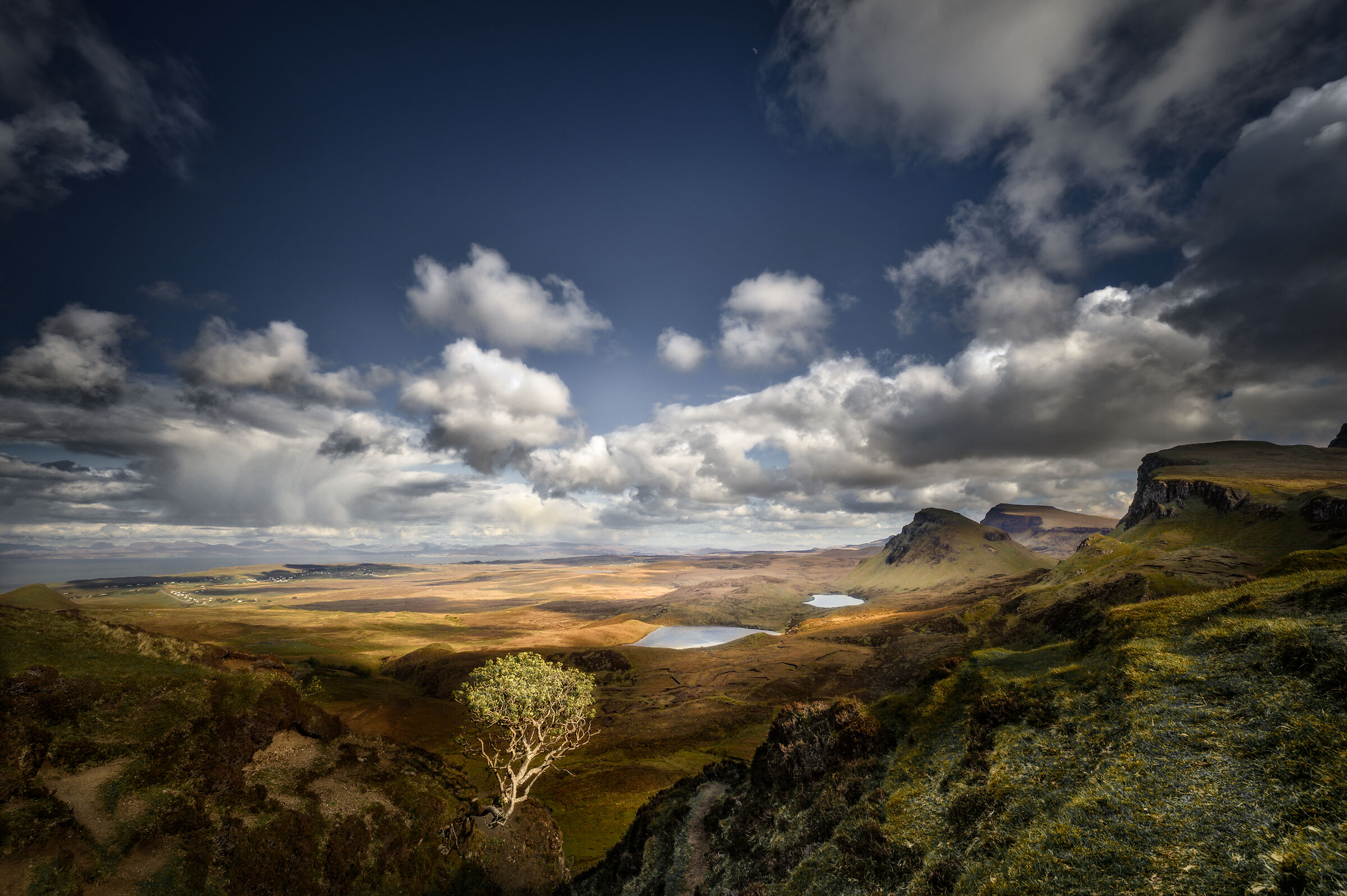 Quirang, the suspended tree