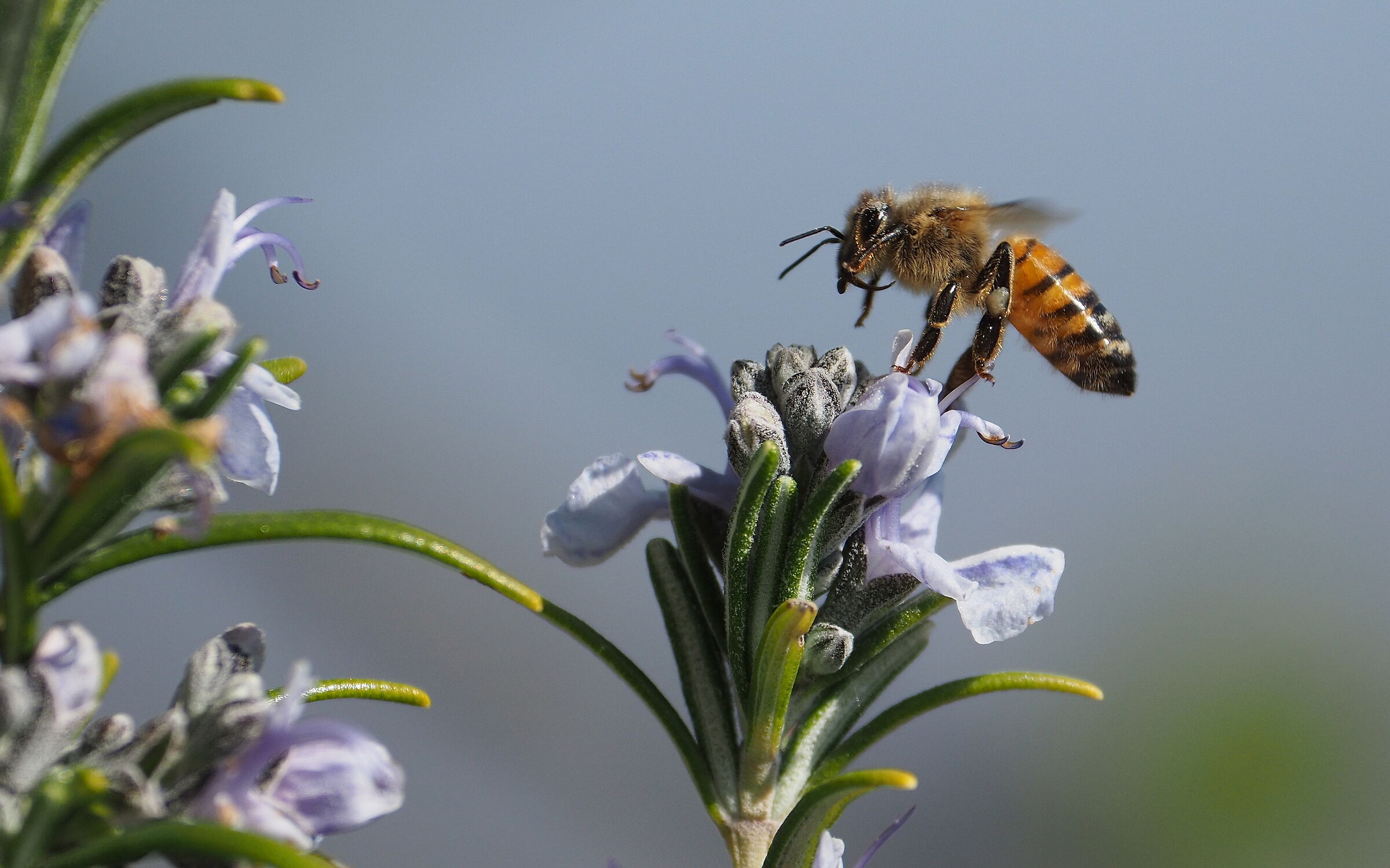 e' uno sporco lavoro, ma qualcuno deve pur farlo