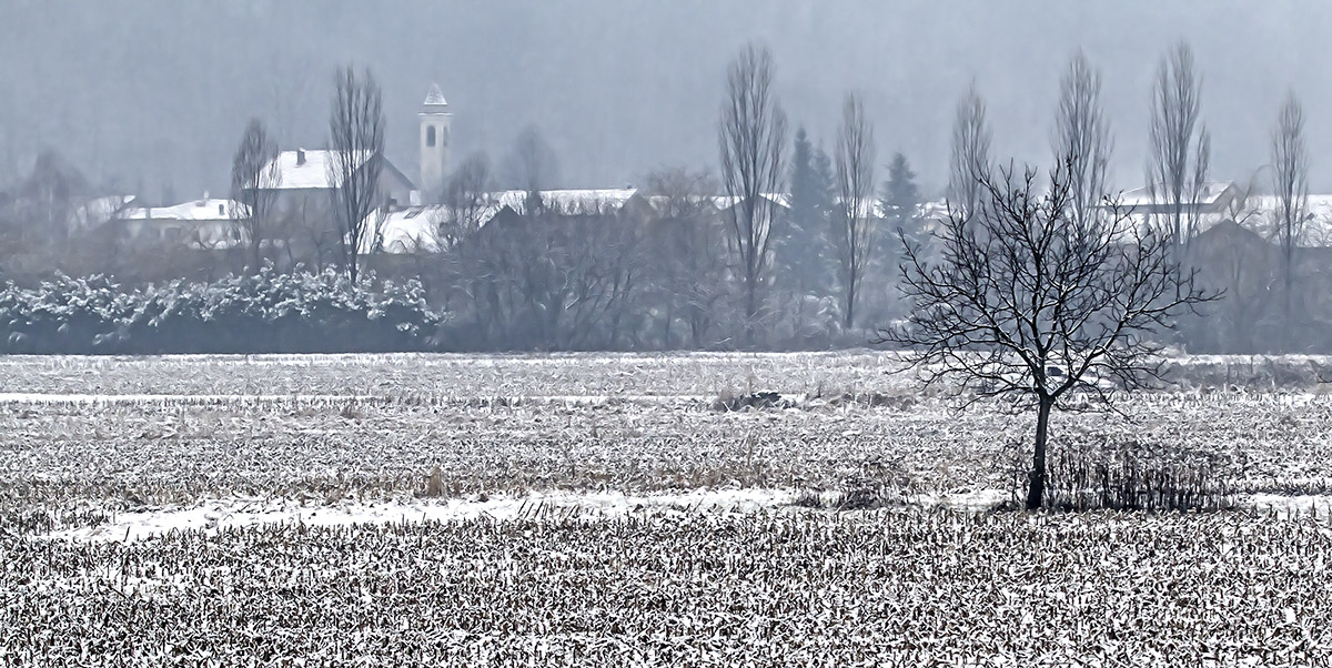 Winter landscape ....