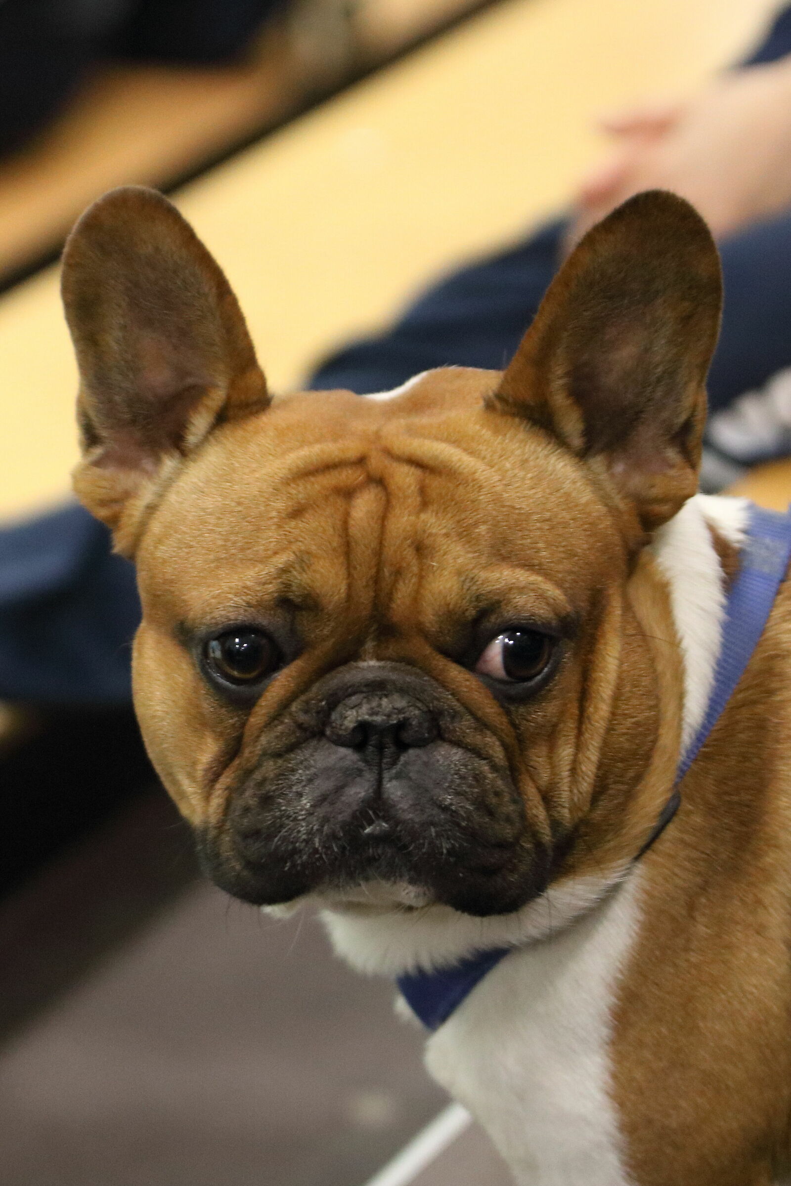 But how beautiful you are!!