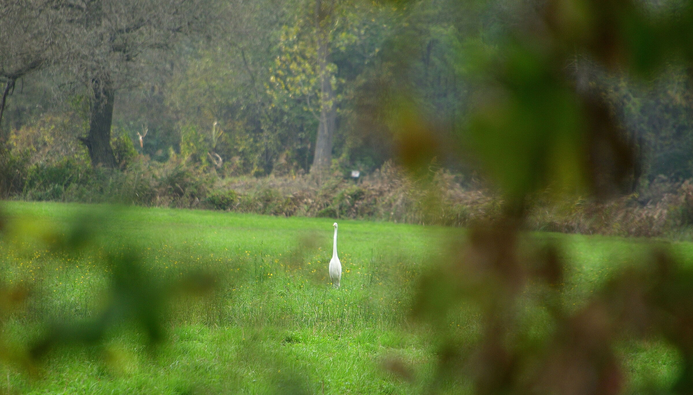 Si e accorto di me...!!!!