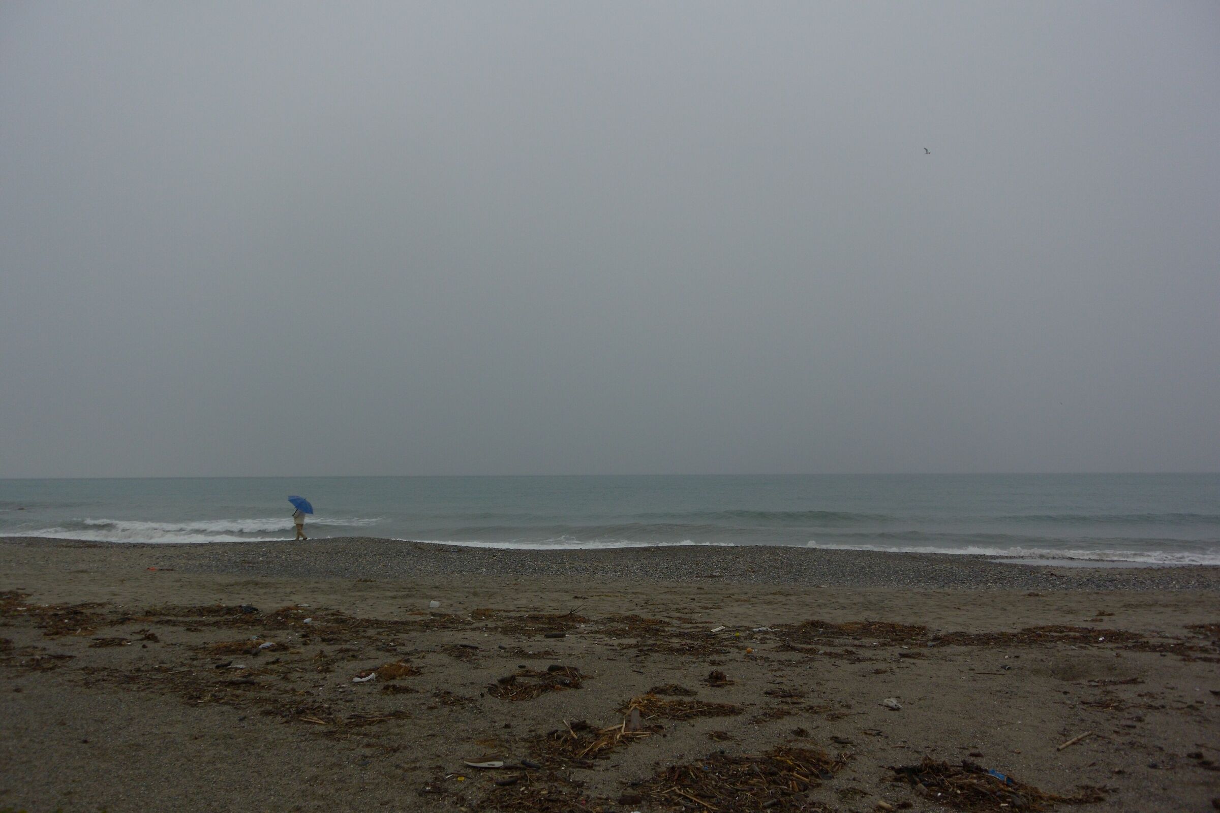 Winter Sea
