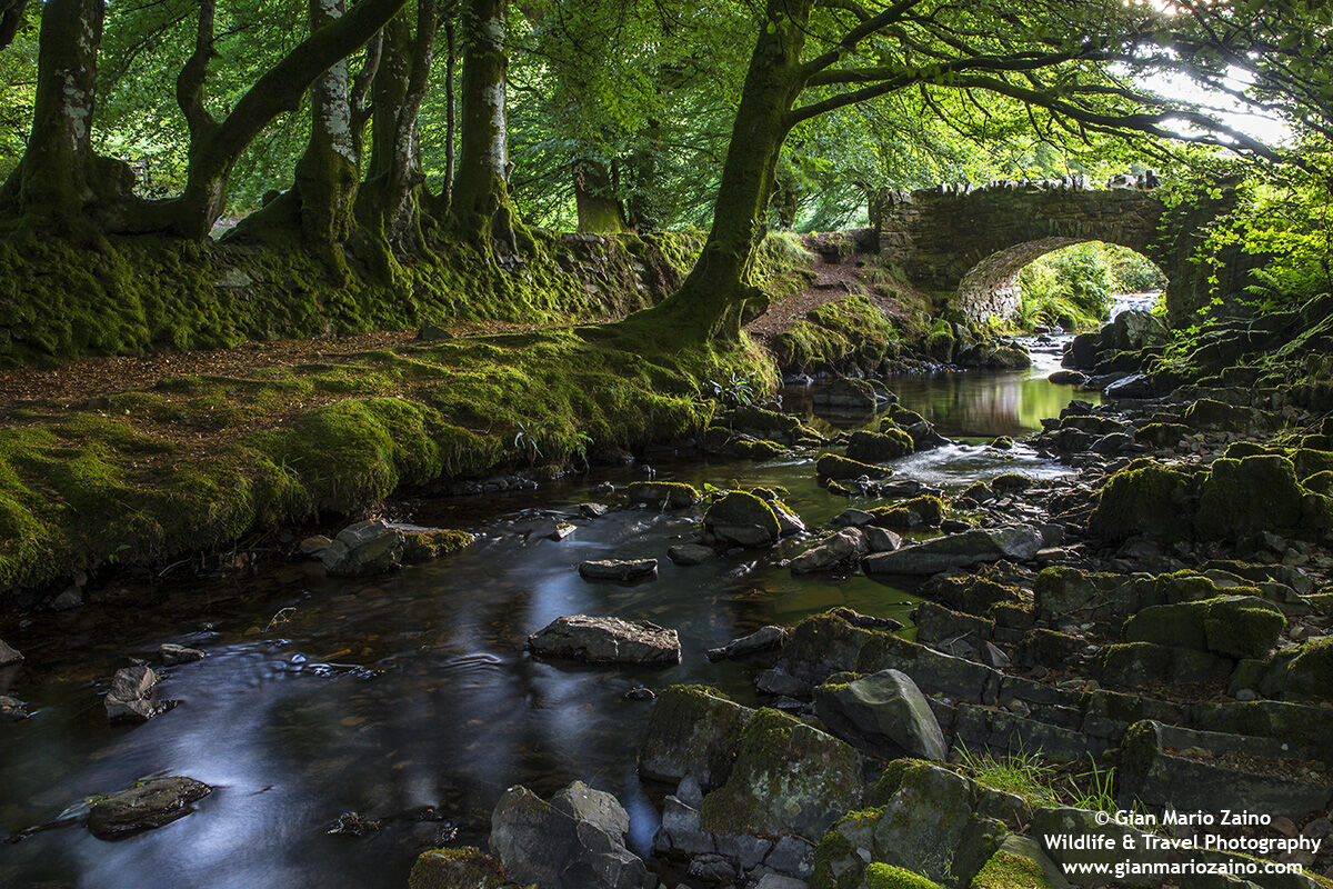 England - Lynton - Robber's bridge (08/08/18)