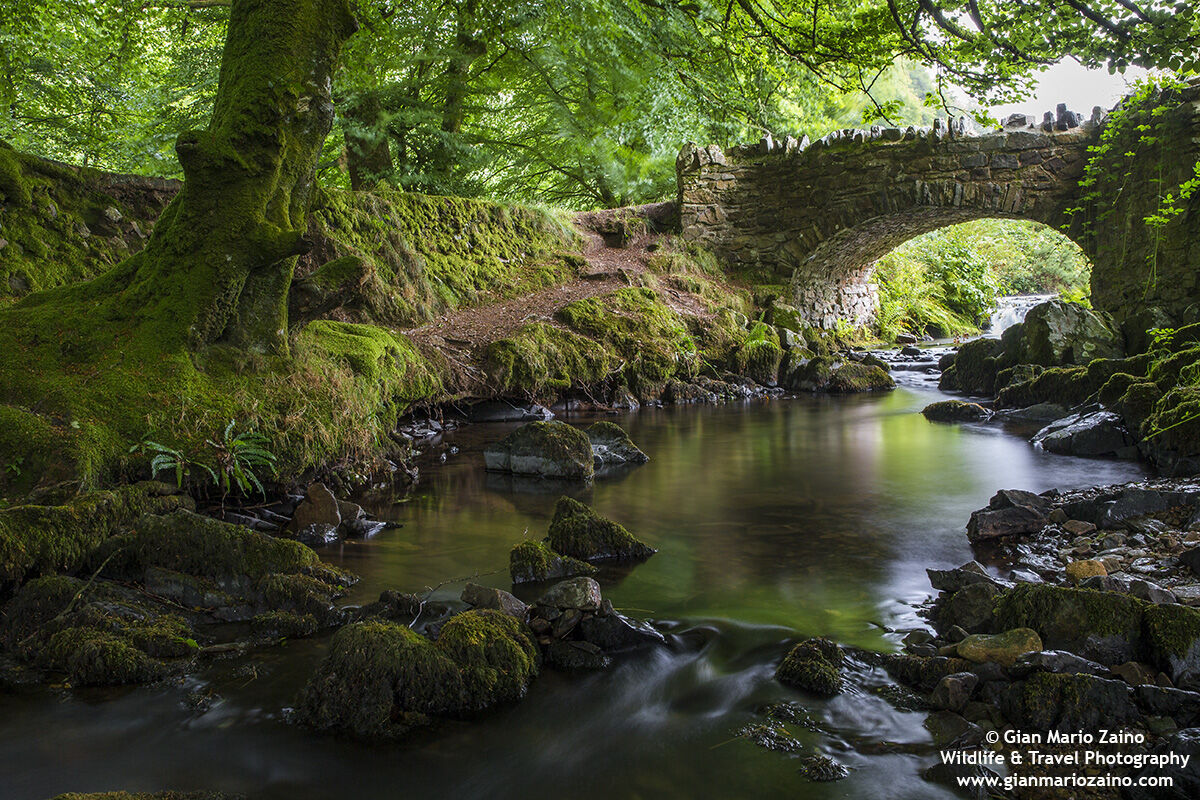 England - Lynton - Robber's bridge (08/08/18)