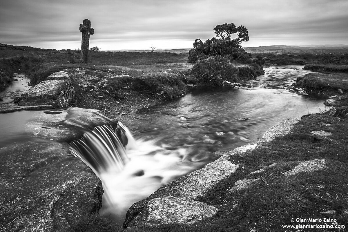 England - Dartmoor National Park (14/08/18)
