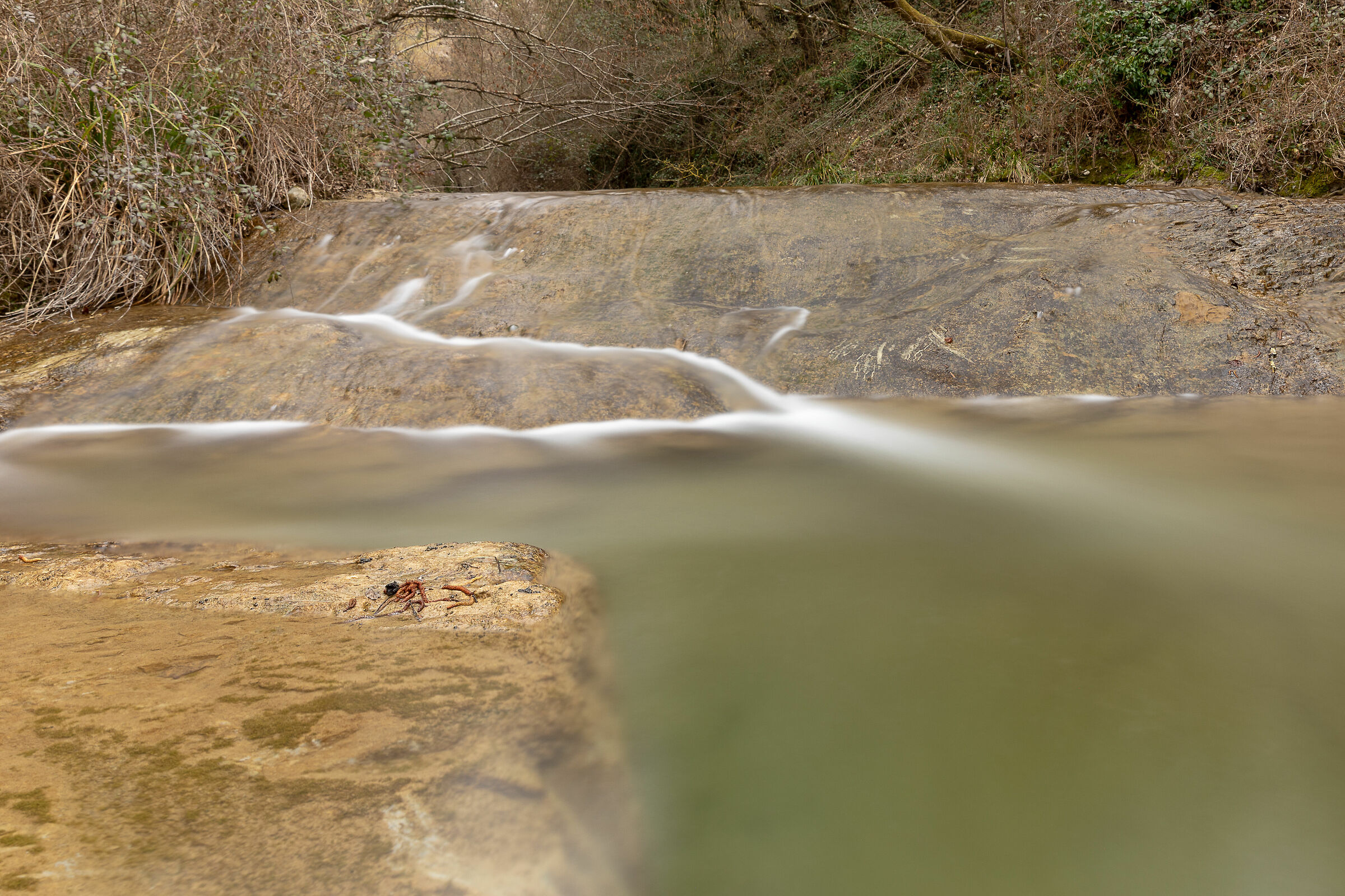THE VERTOLA
