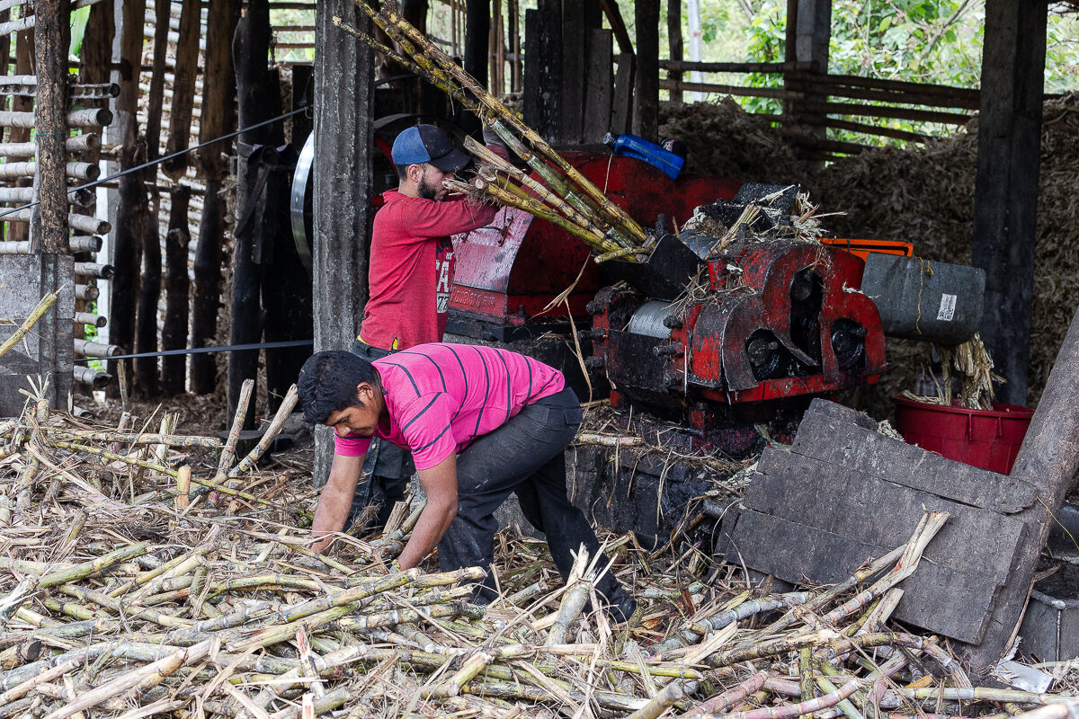 Reportage, la fabbrica dello zucchero 1